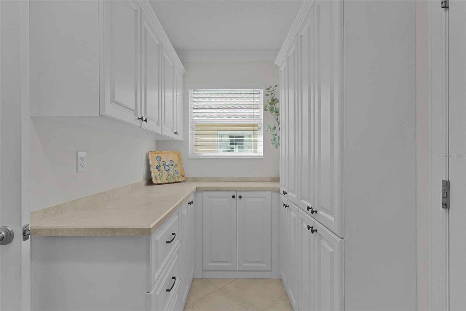 1251 EUREKA MILL RUN, THE VILLAGES, FL, 32162