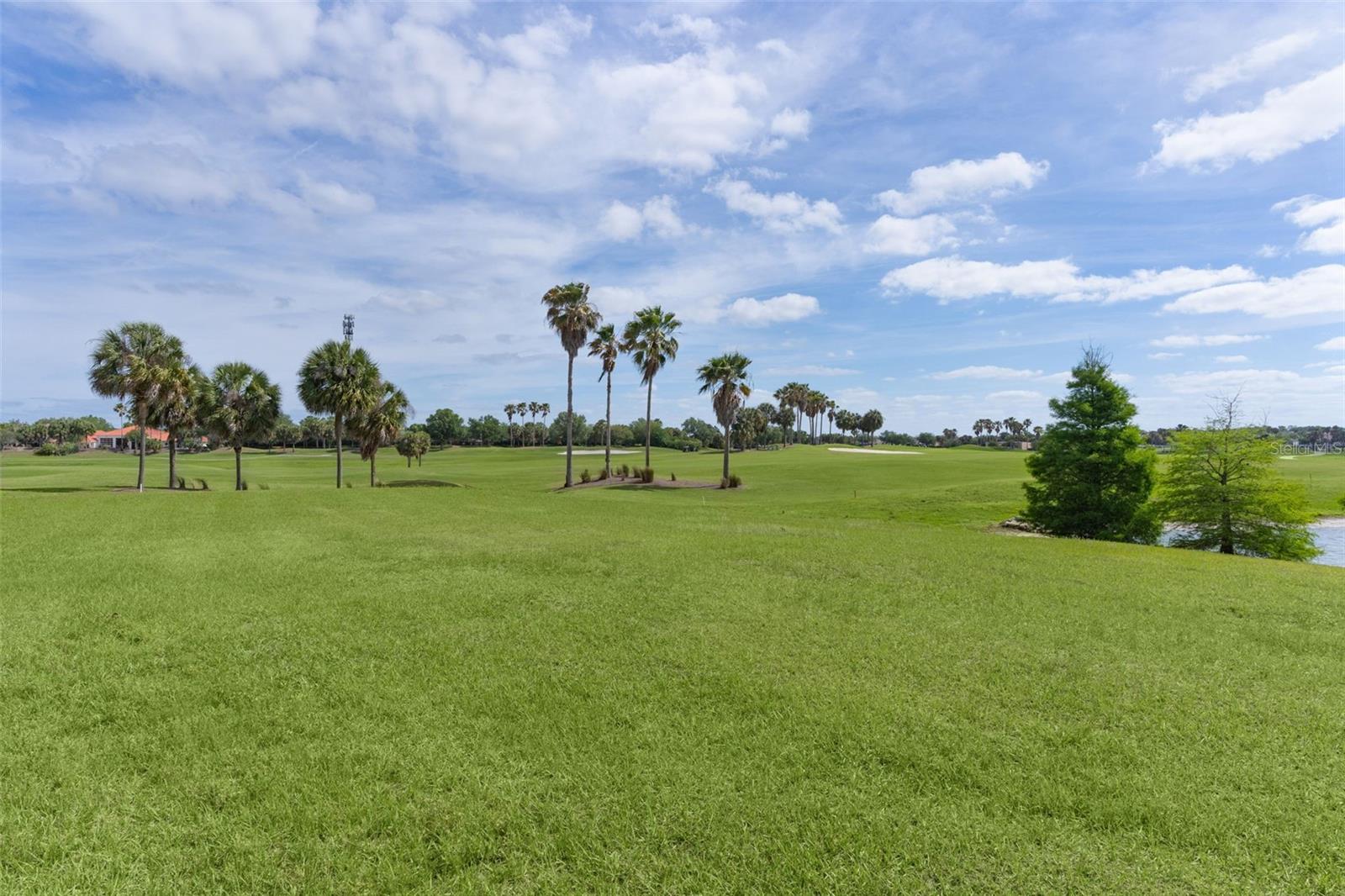 1251 EUREKA MILL RUN, THE VILLAGES, FL, 32162