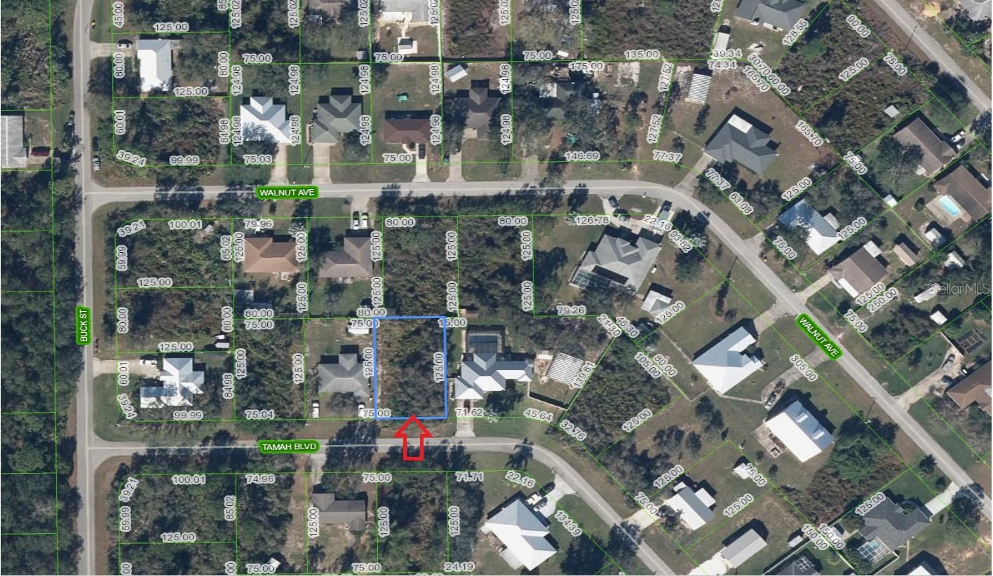 1507 TAMAH BLVD, LAKE PLACID, FL, 33852