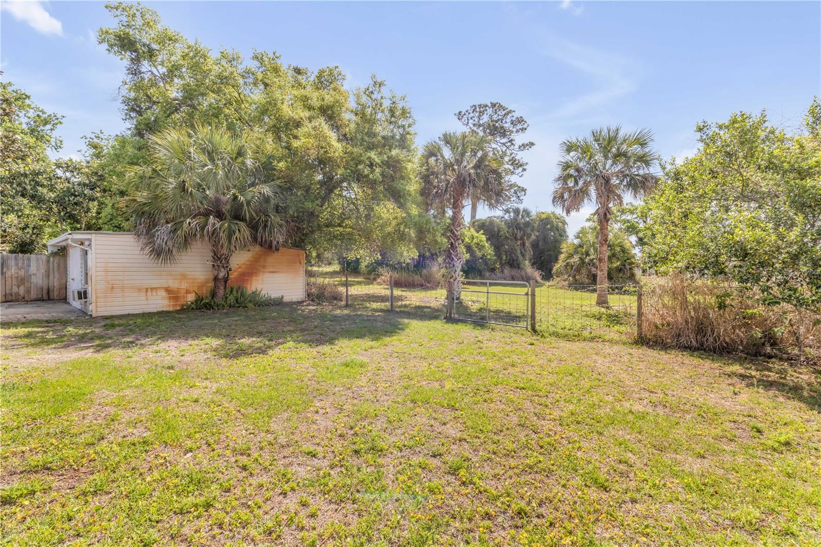 114 W PINE BLUFF ST, EDGEWATER, FL, 32132