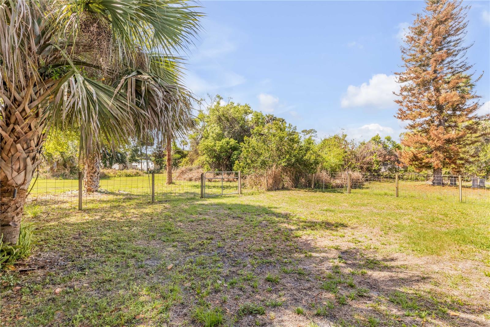 114 W PINE BLUFF ST, EDGEWATER, FL, 32132