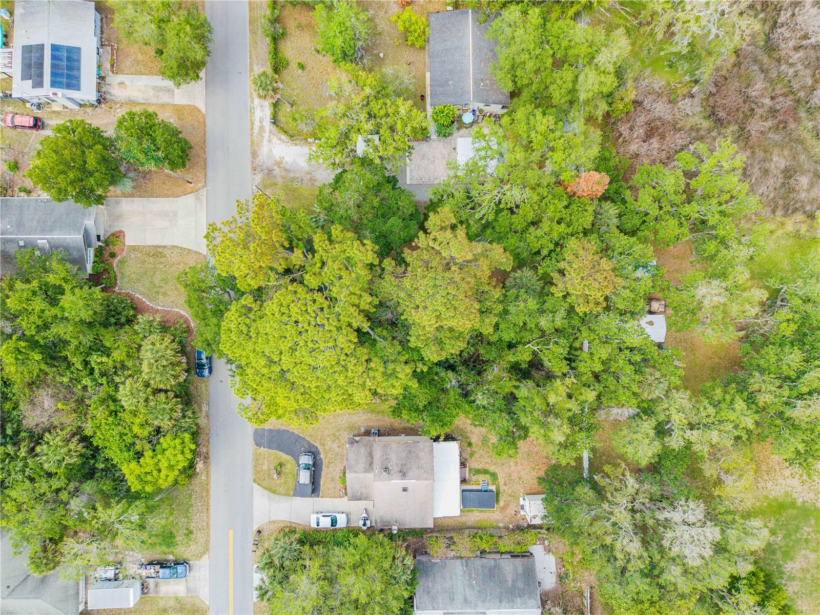 BROOKLINE AVE, NEW SMYRNA BEACH, FL, 32168