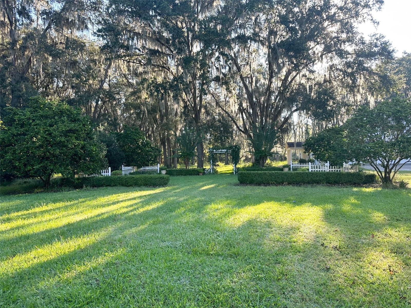 6425 NW 202ND PL, MICANOPY, FL, 32667