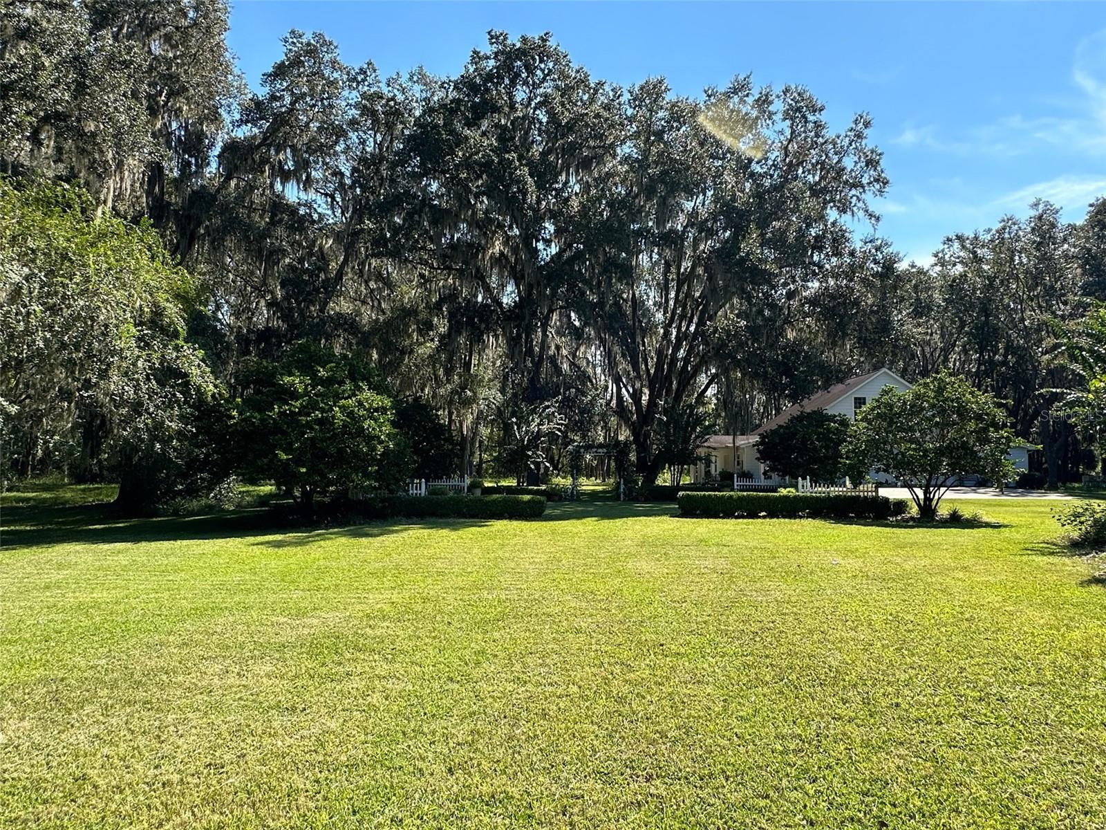 6425 NW 202ND PL, MICANOPY, FL, 32667