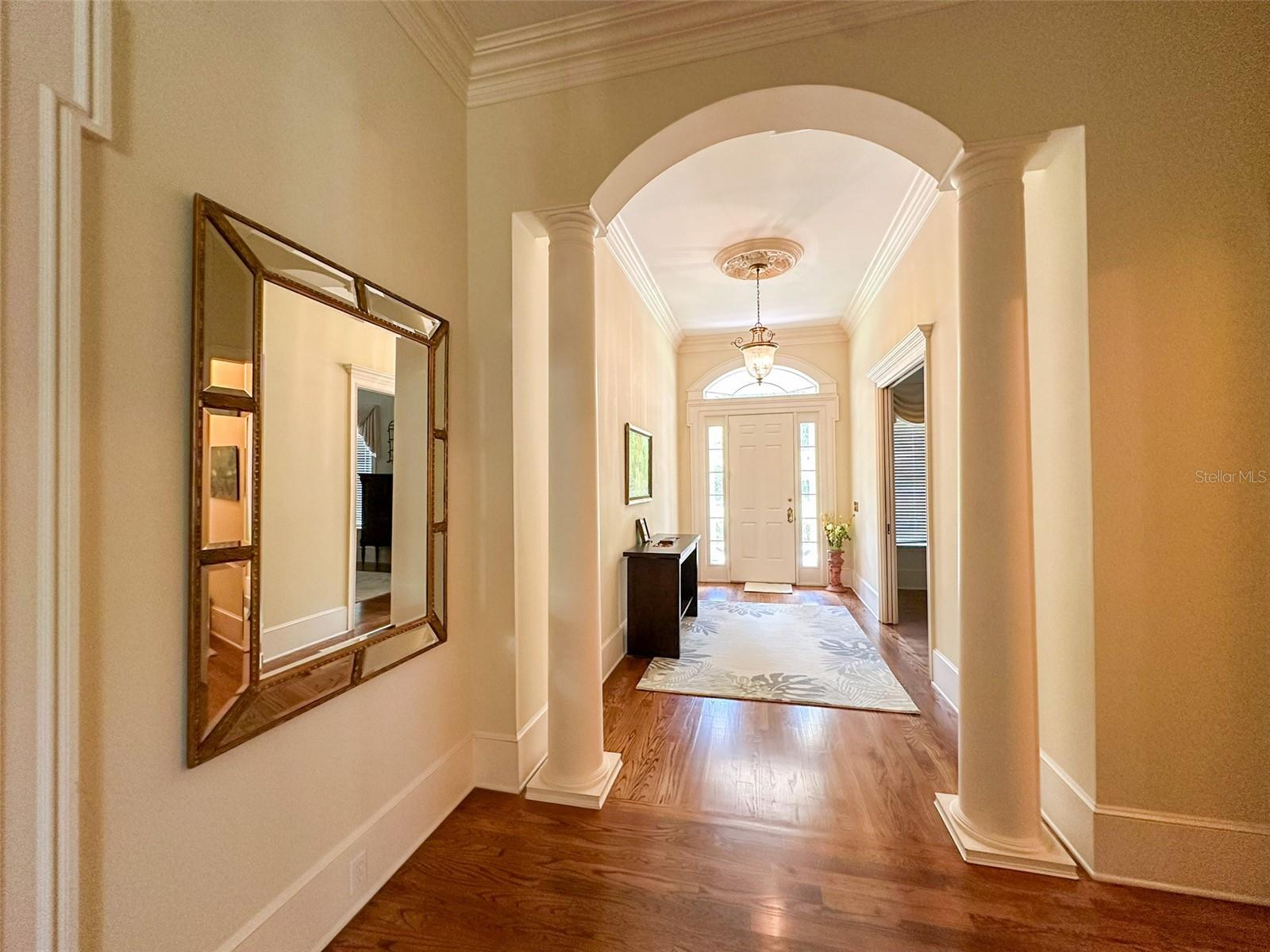 6425 NW 202ND PL, MICANOPY, FL, 32667