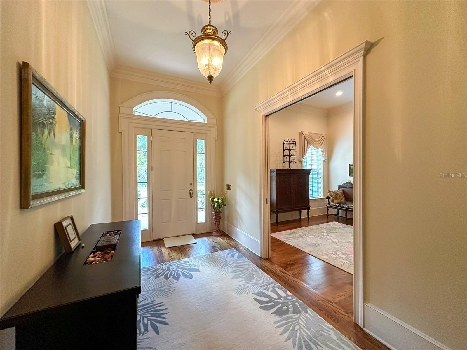 6425 NW 202ND PL, MICANOPY, FL, 32667