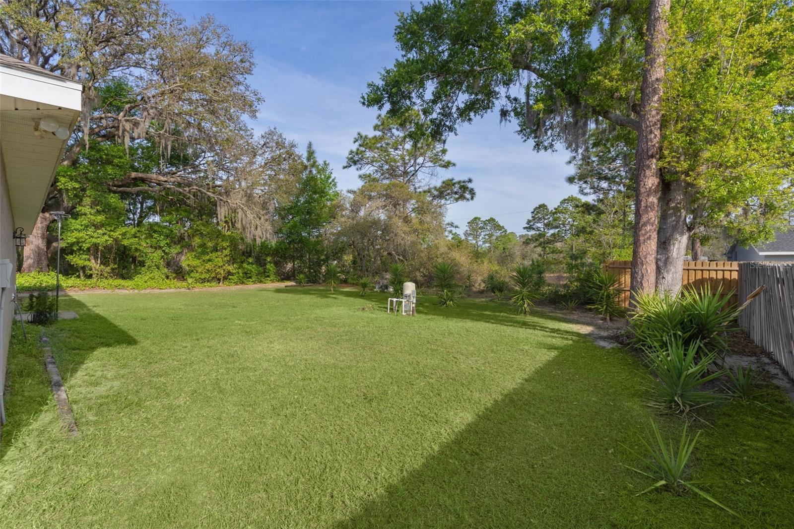 13 MALAUKA RADIAL RUN, OCKLAWAHA, FL, 32179