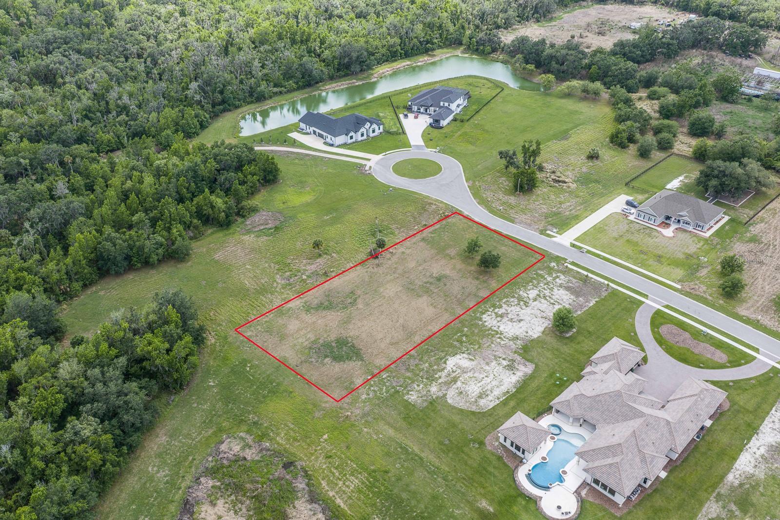 15322 FISHHAWK HEIGHTS RUN, LITHIA, FL, 33547