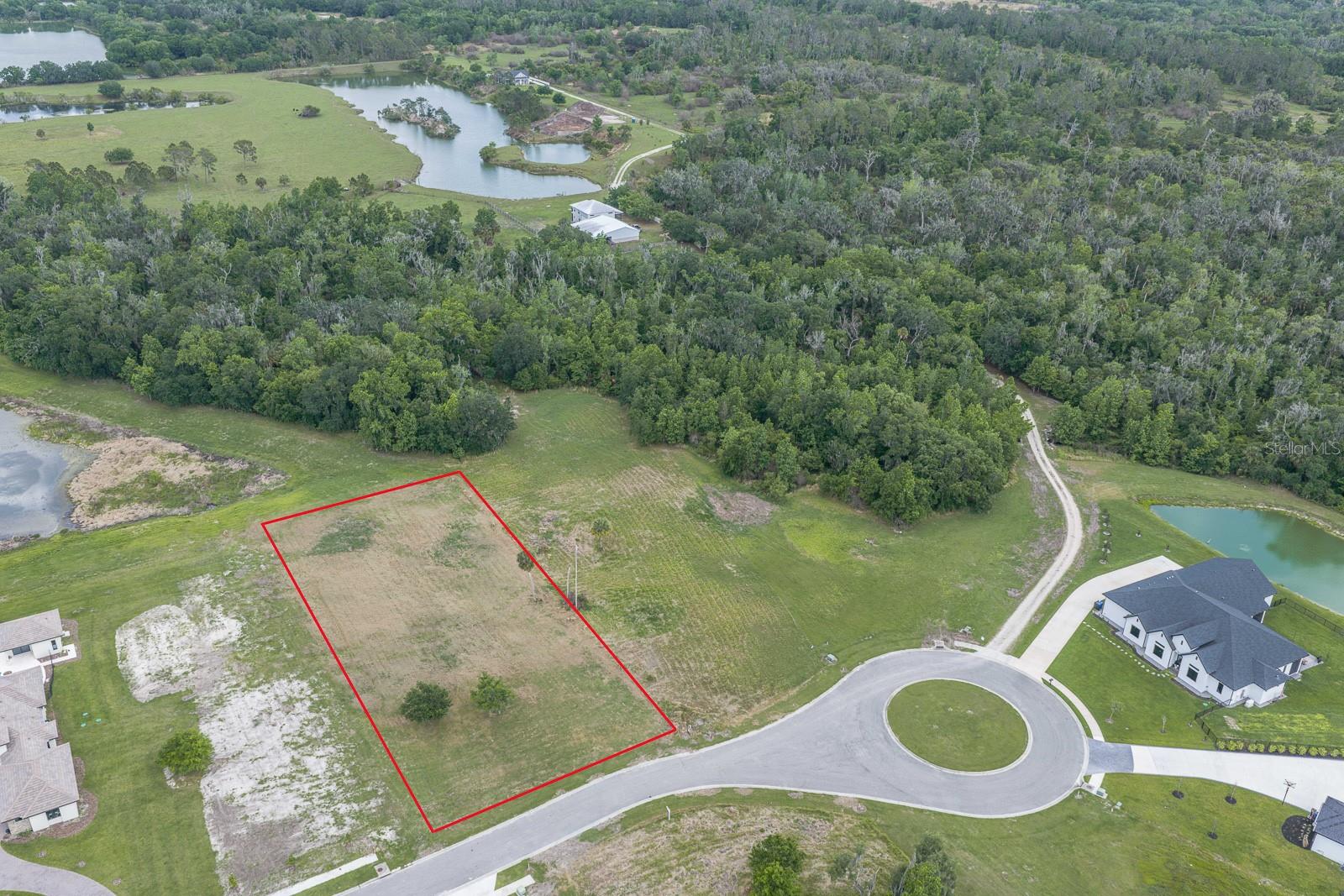 15322 FISHHAWK HEIGHTS RUN, LITHIA, FL, 33547