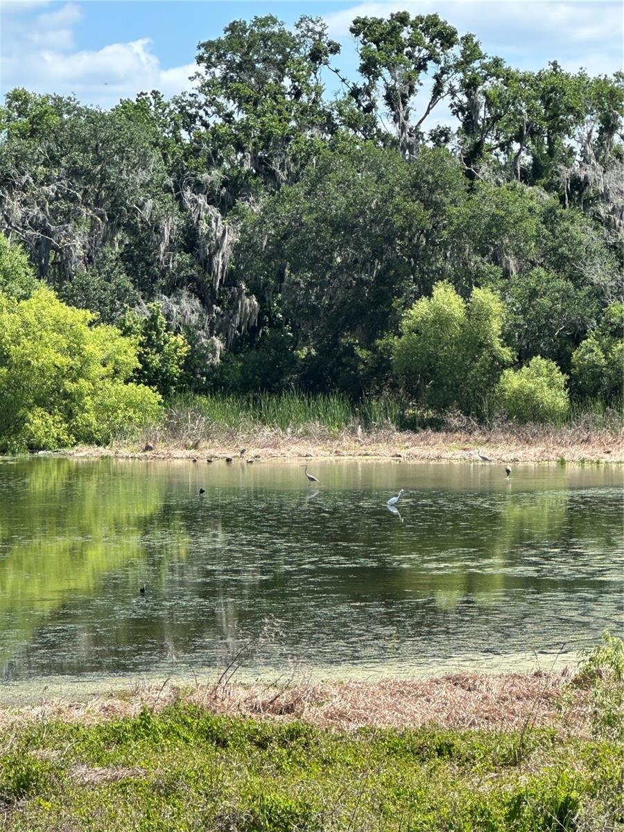 15322 FISHHAWK HEIGHTS RUN, LITHIA, FL, 33547