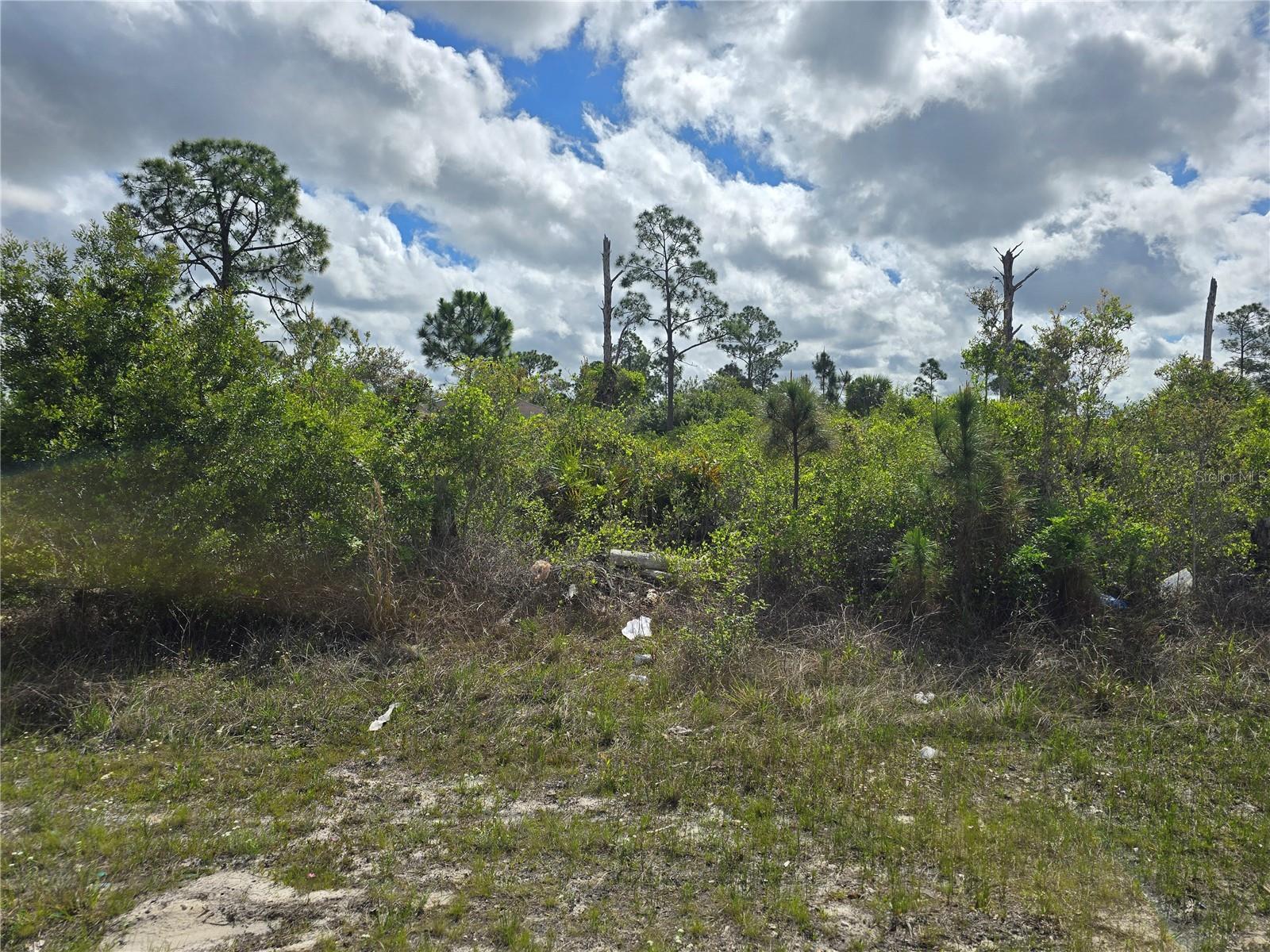 LEHIGH ACRES, LEHIGH ACRES, FL, 33974