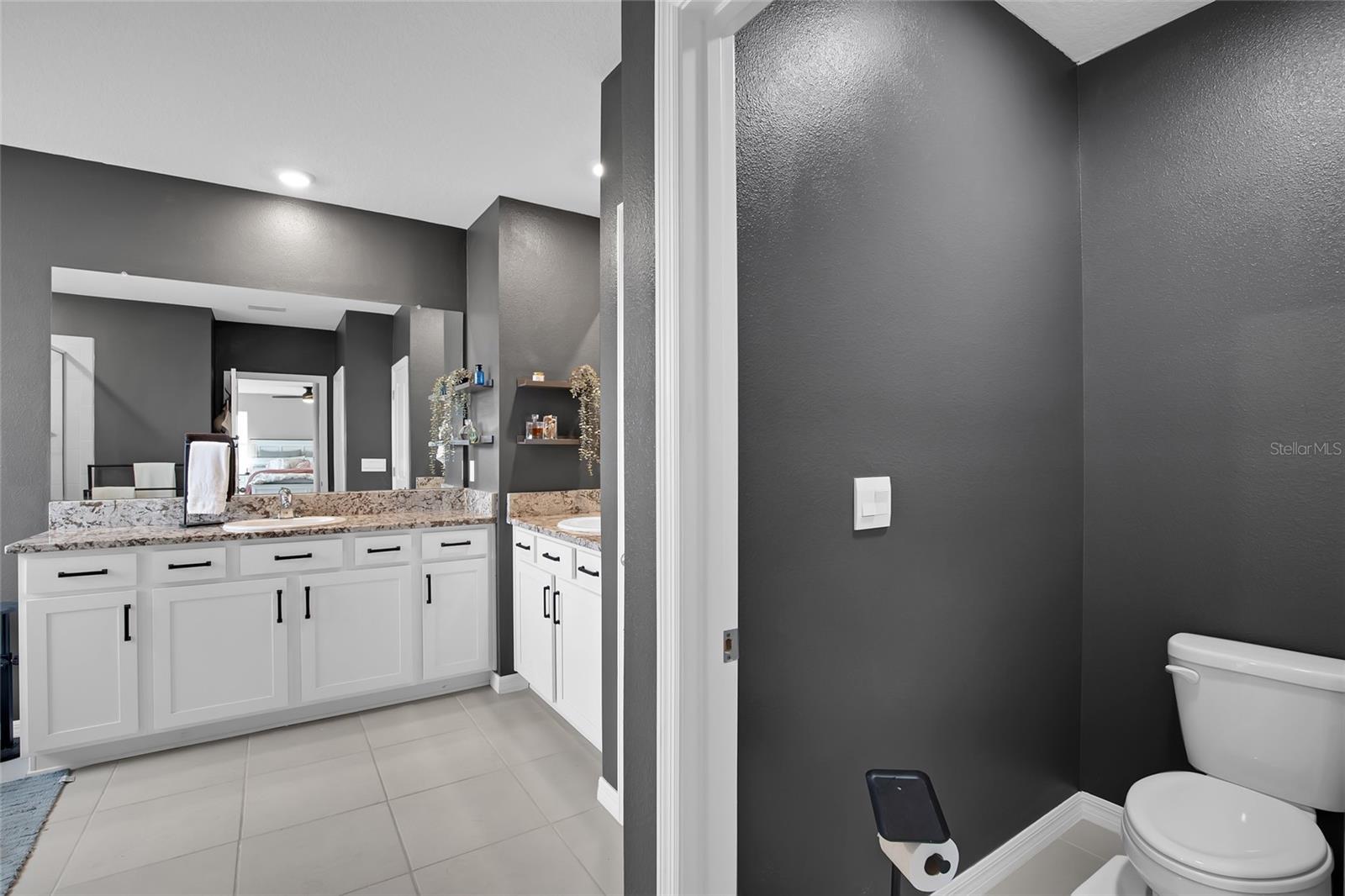 32265 CONCHSHELL SAIL ST, WESLEY CHAPEL, FL, 33545