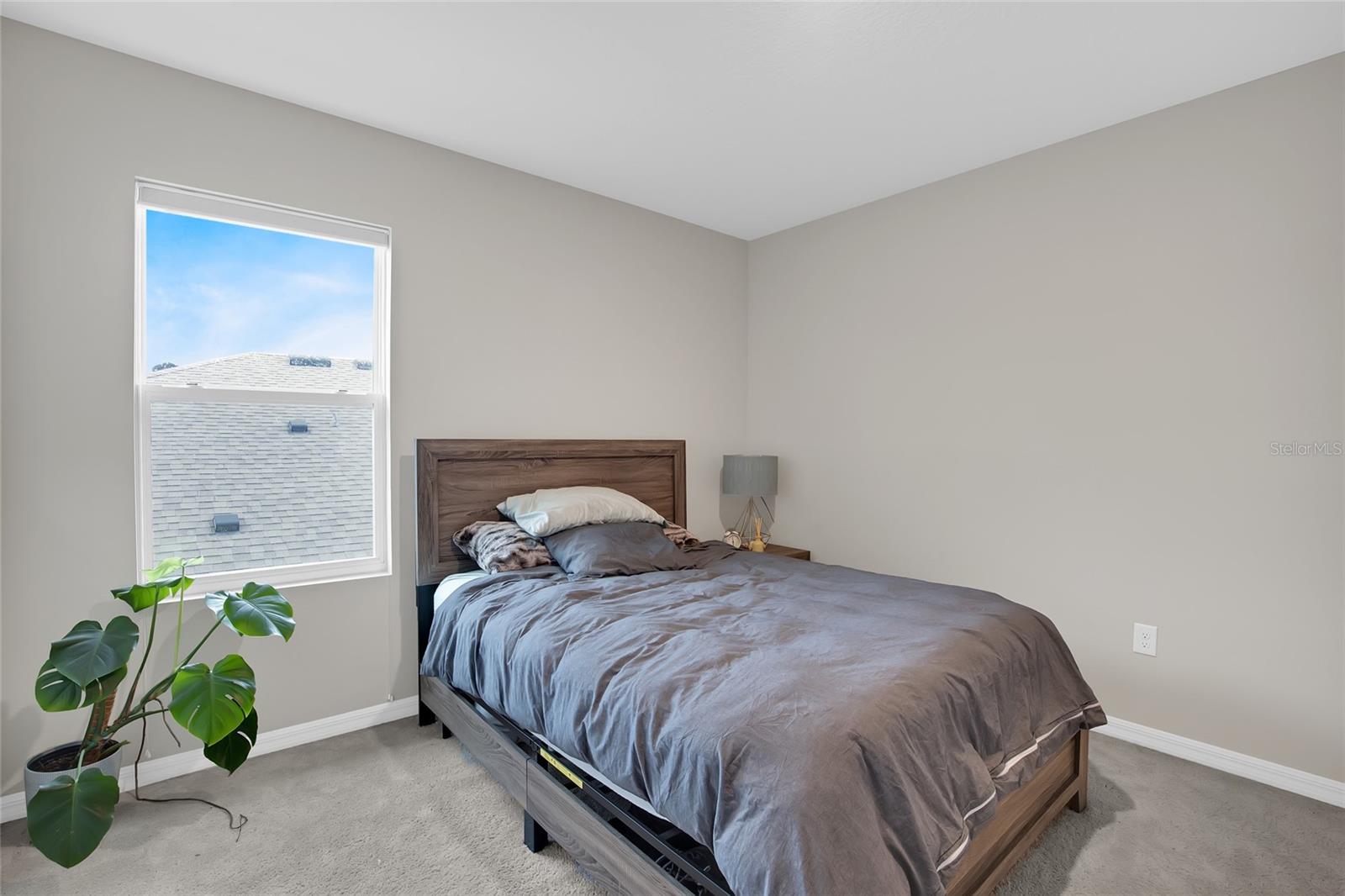 32265 CONCHSHELL SAIL ST, WESLEY CHAPEL, FL, 33545