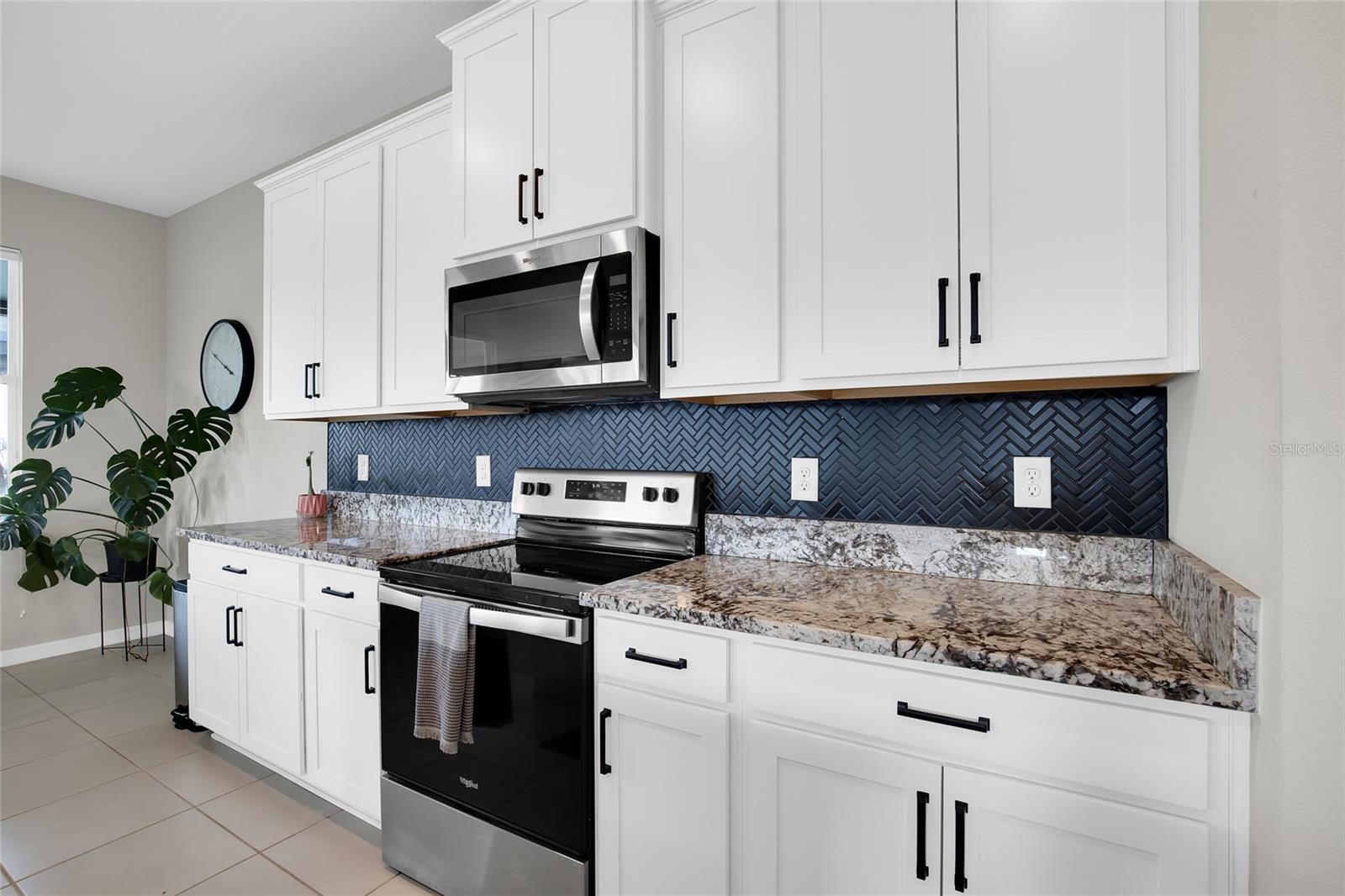 32265 CONCHSHELL SAIL ST, WESLEY CHAPEL, FL, 33545