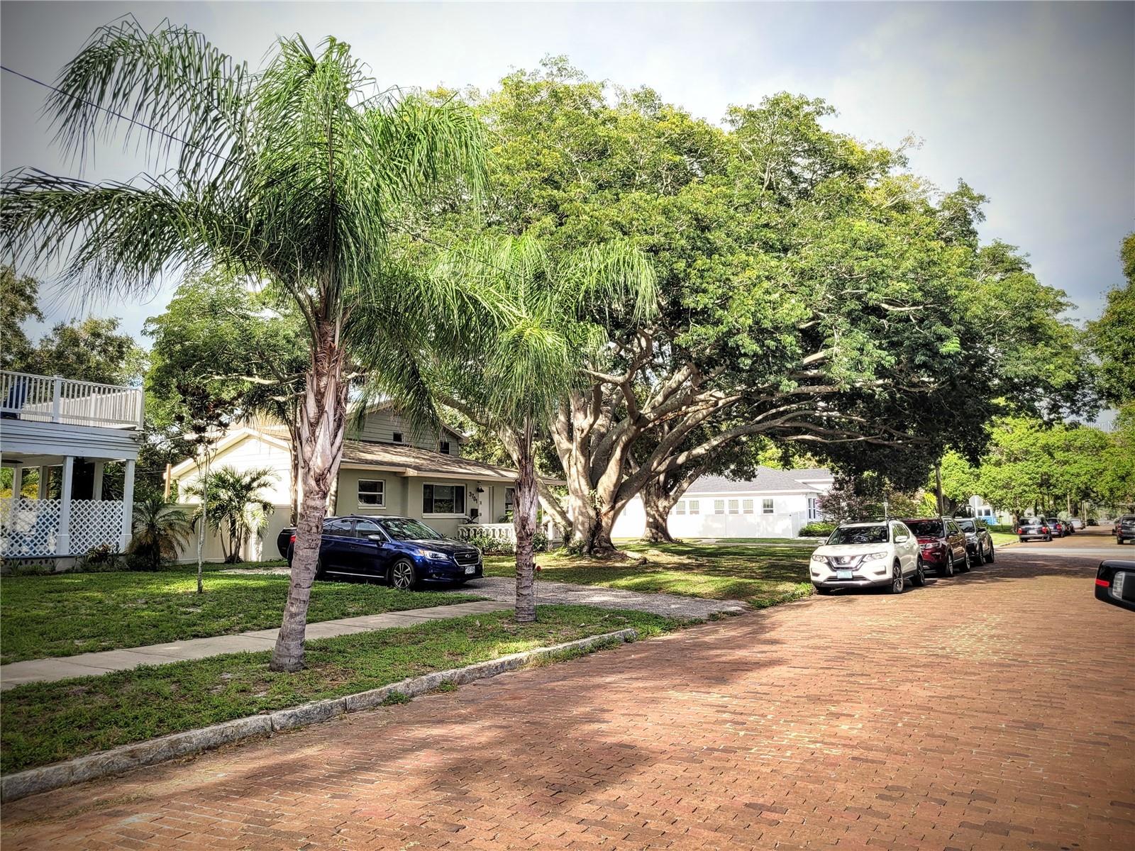 3720 3RD AVE N, ST PETERSBURG, FL, 33713