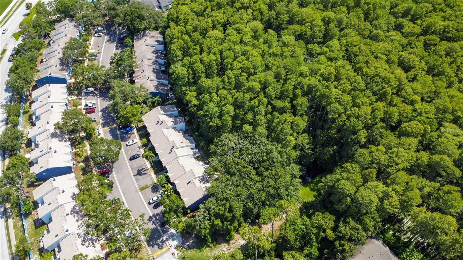 3350 FOX HUNT DR, PALM HARBOR, FL, 34683