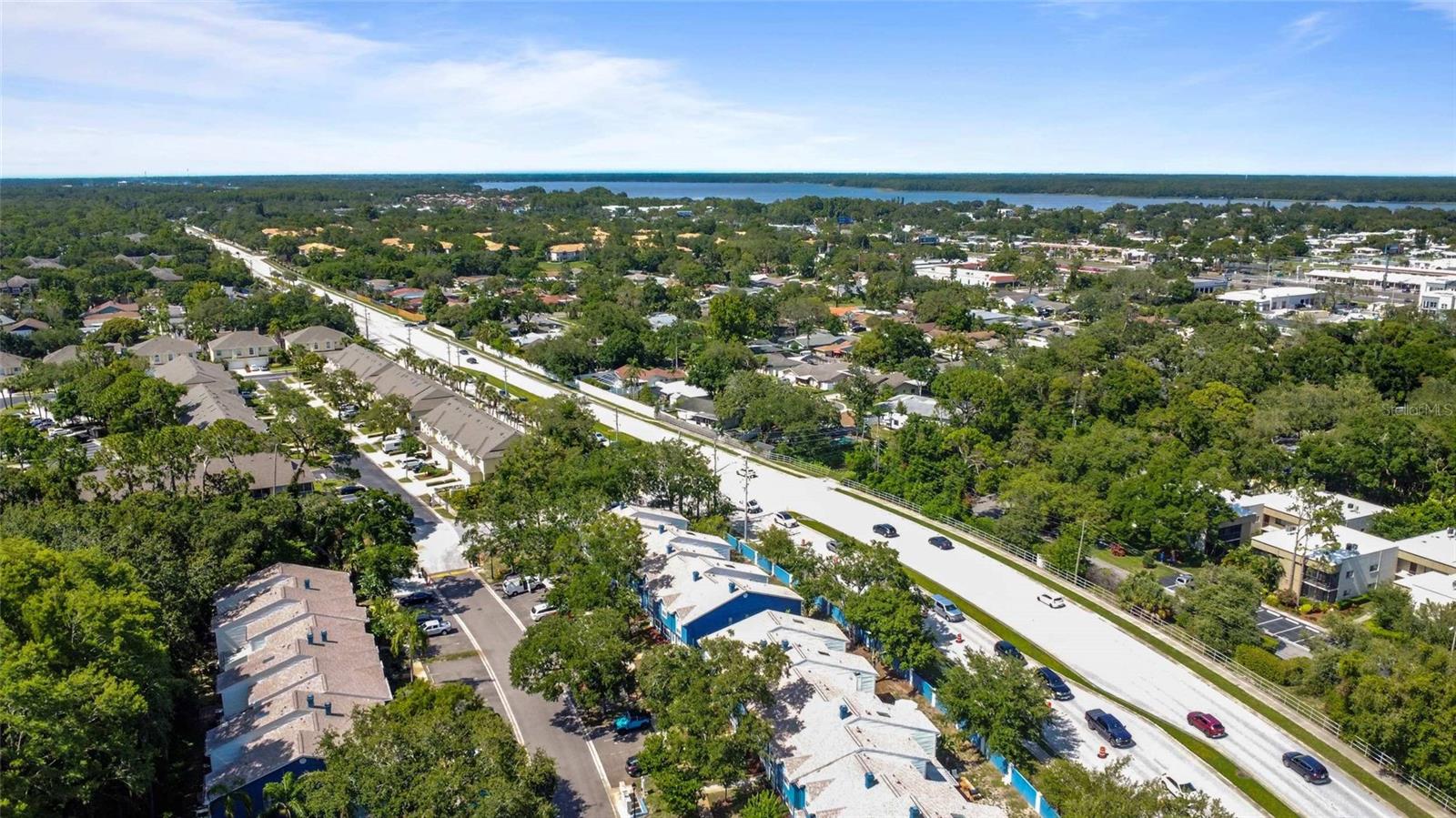 3350 FOX HUNT DR, PALM HARBOR, FL, 34683