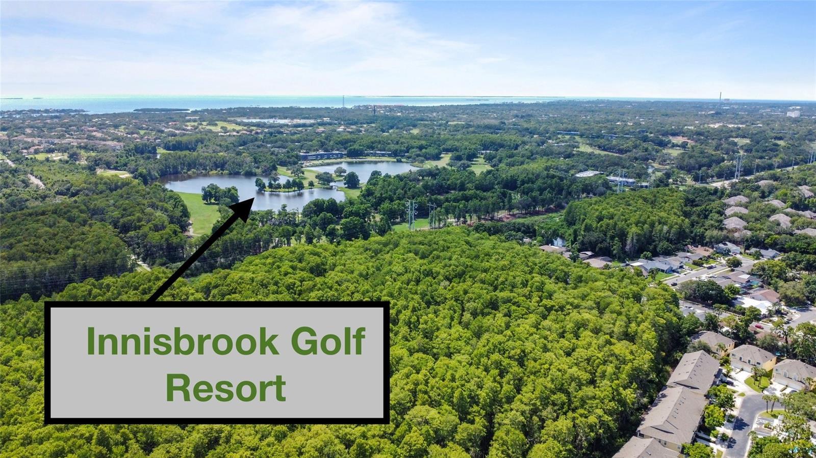 3350 FOX HUNT DR, PALM HARBOR, FL, 34683