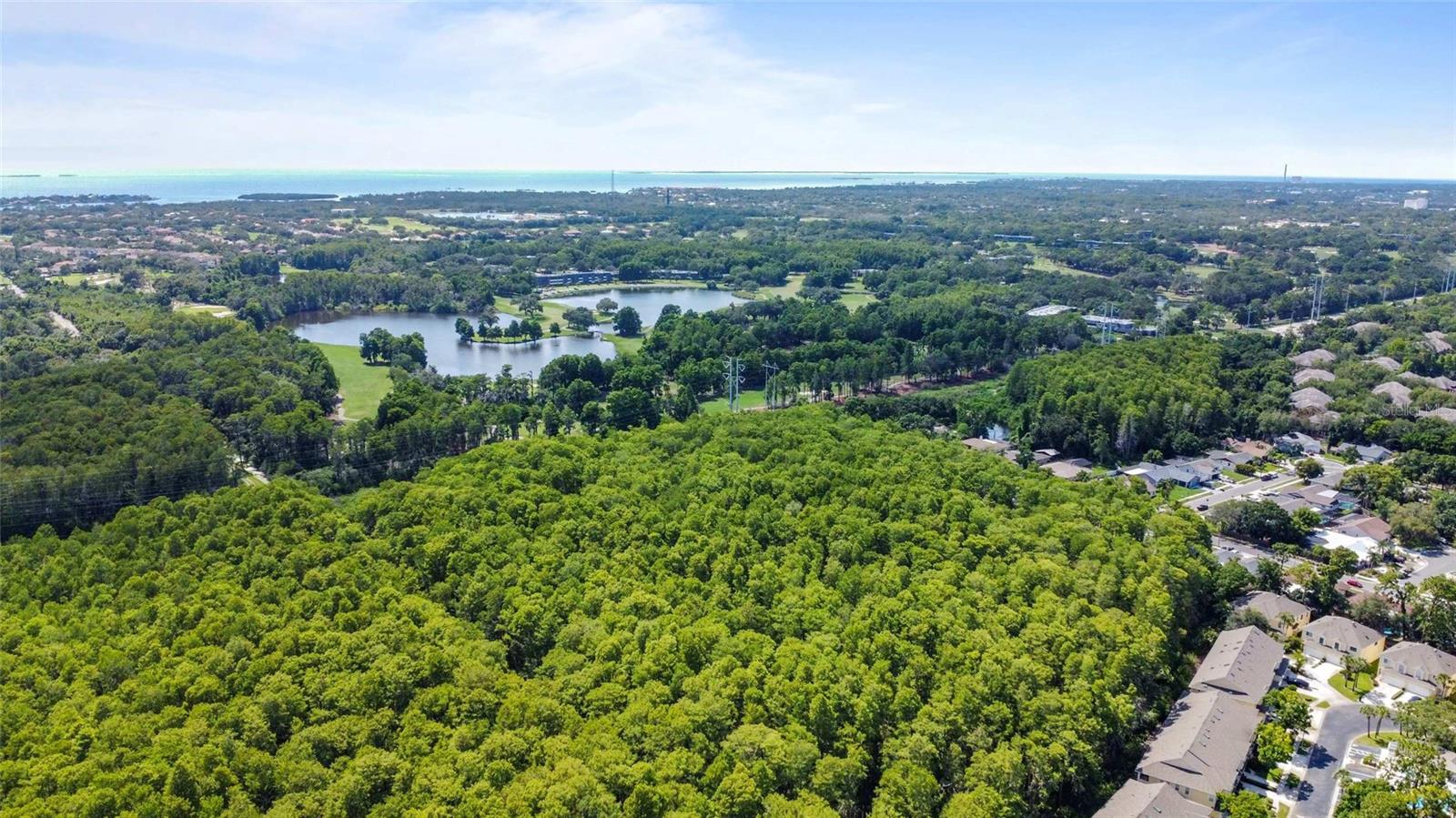 3350 FOX HUNT DR, PALM HARBOR, FL, 34683