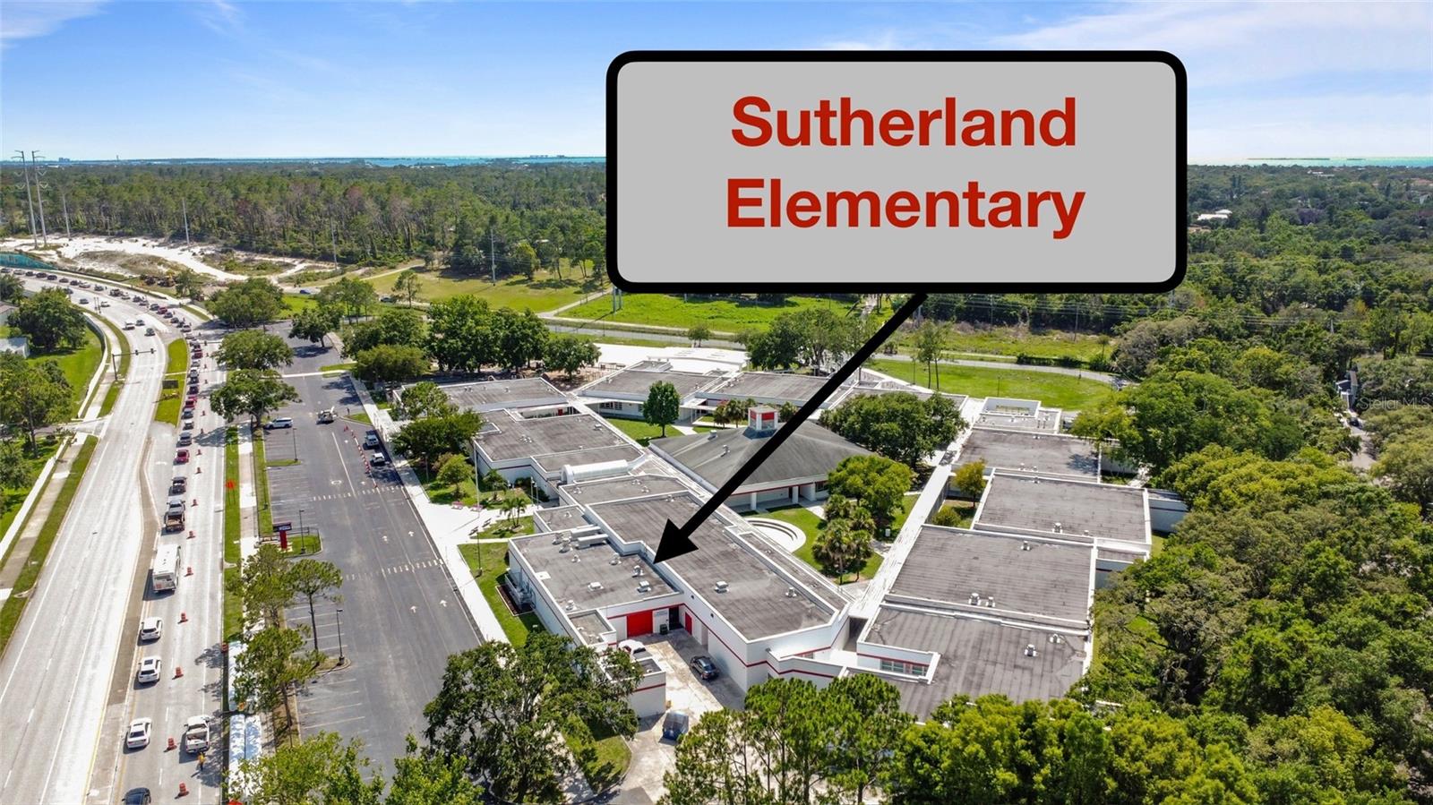 3350 FOX HUNT DR, PALM HARBOR, FL, 34683