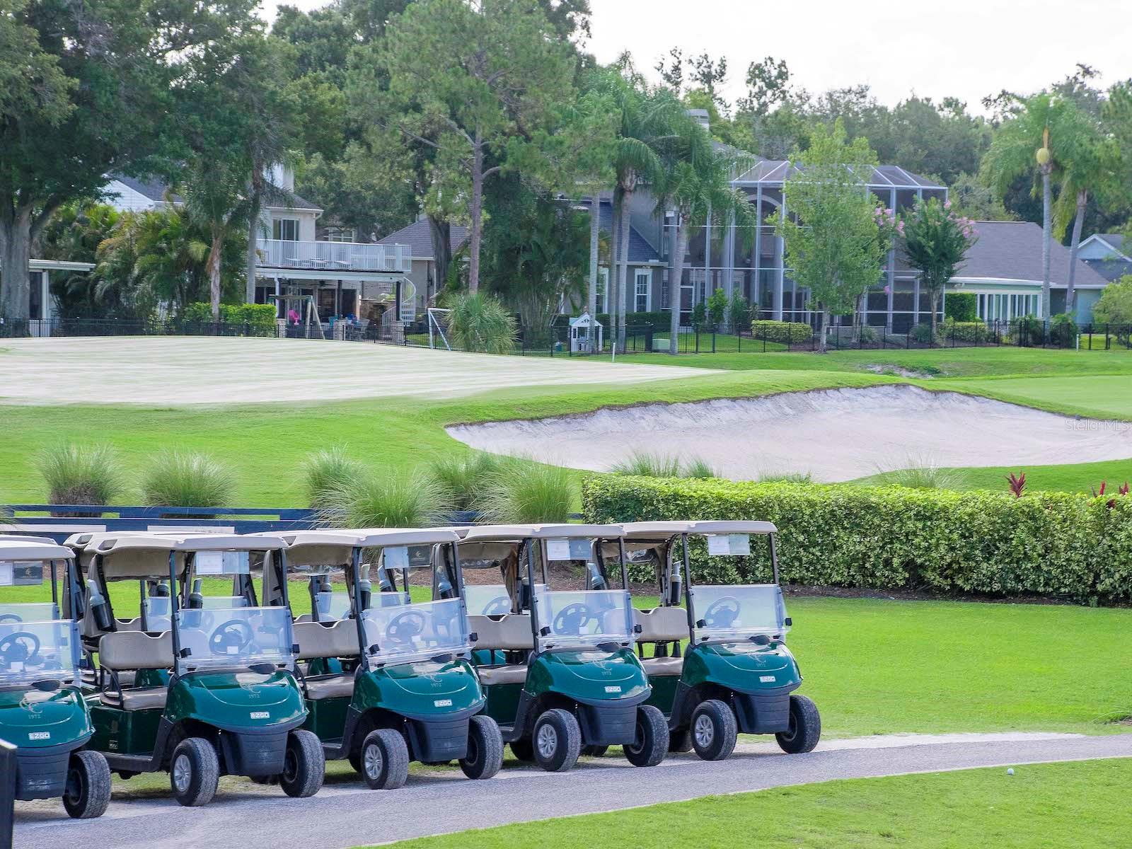 13941 CLUBHOUSE DR #105, TAMPA, FL, 33618