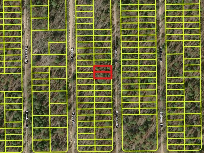 427 DOTHAN ST, INTERLACHEN, FL, 32148