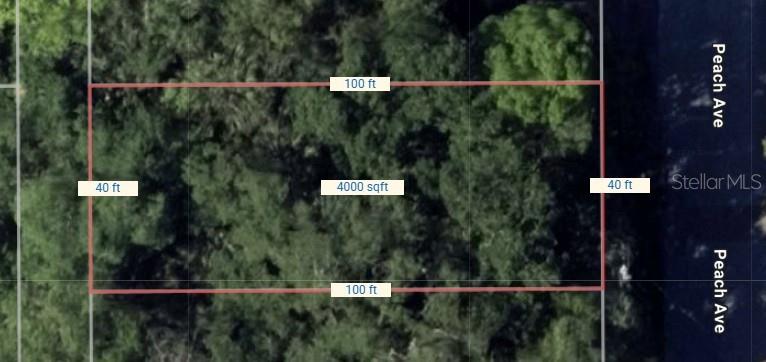 PEACH AVE, SANFORD, FL, 32771