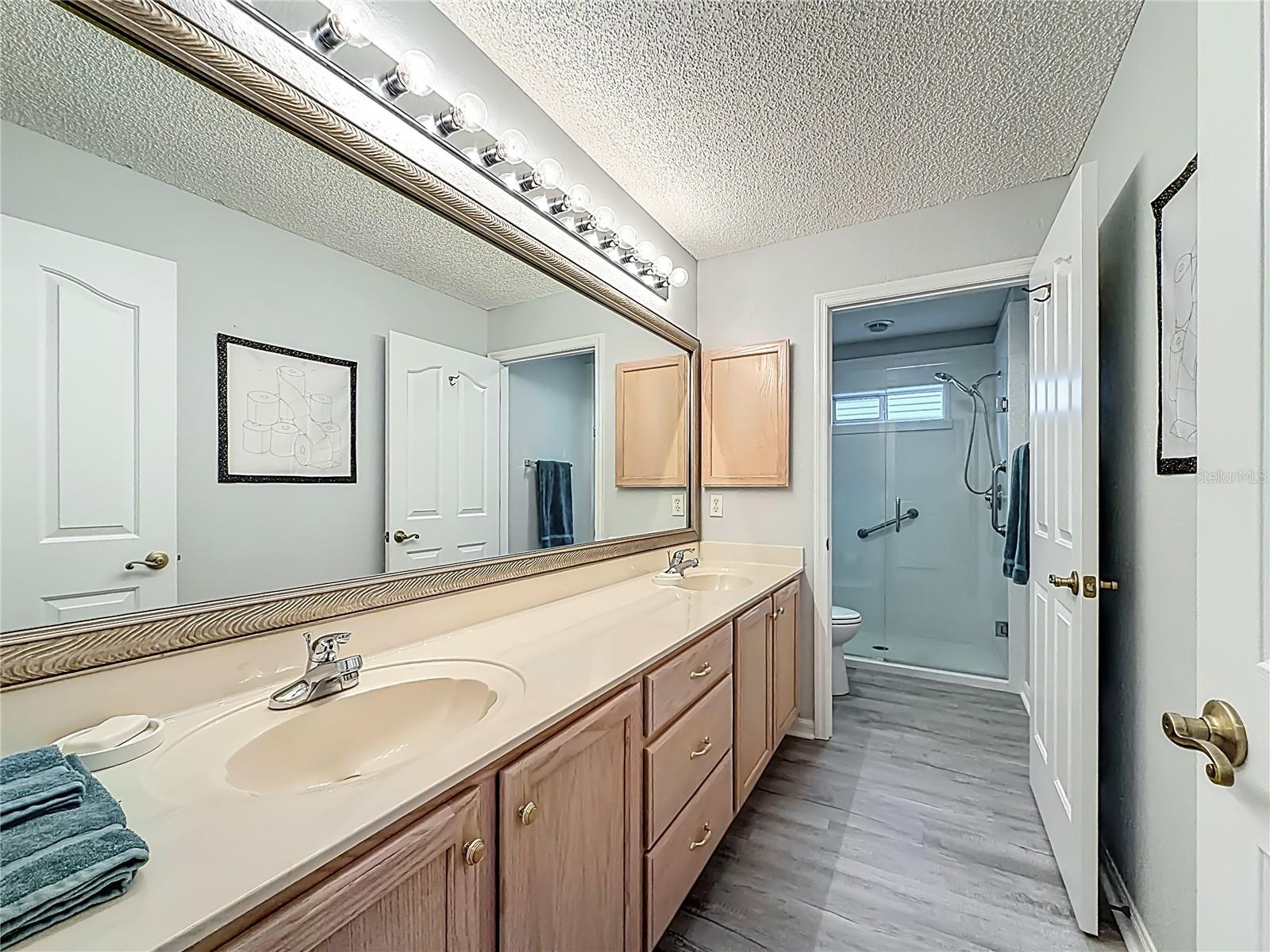 1738 AUGUSTINE DR, THE VILLAGES, FL, 32159