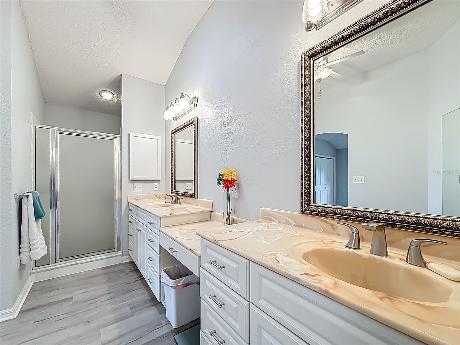 1738 AUGUSTINE DR, THE VILLAGES, FL, 32159