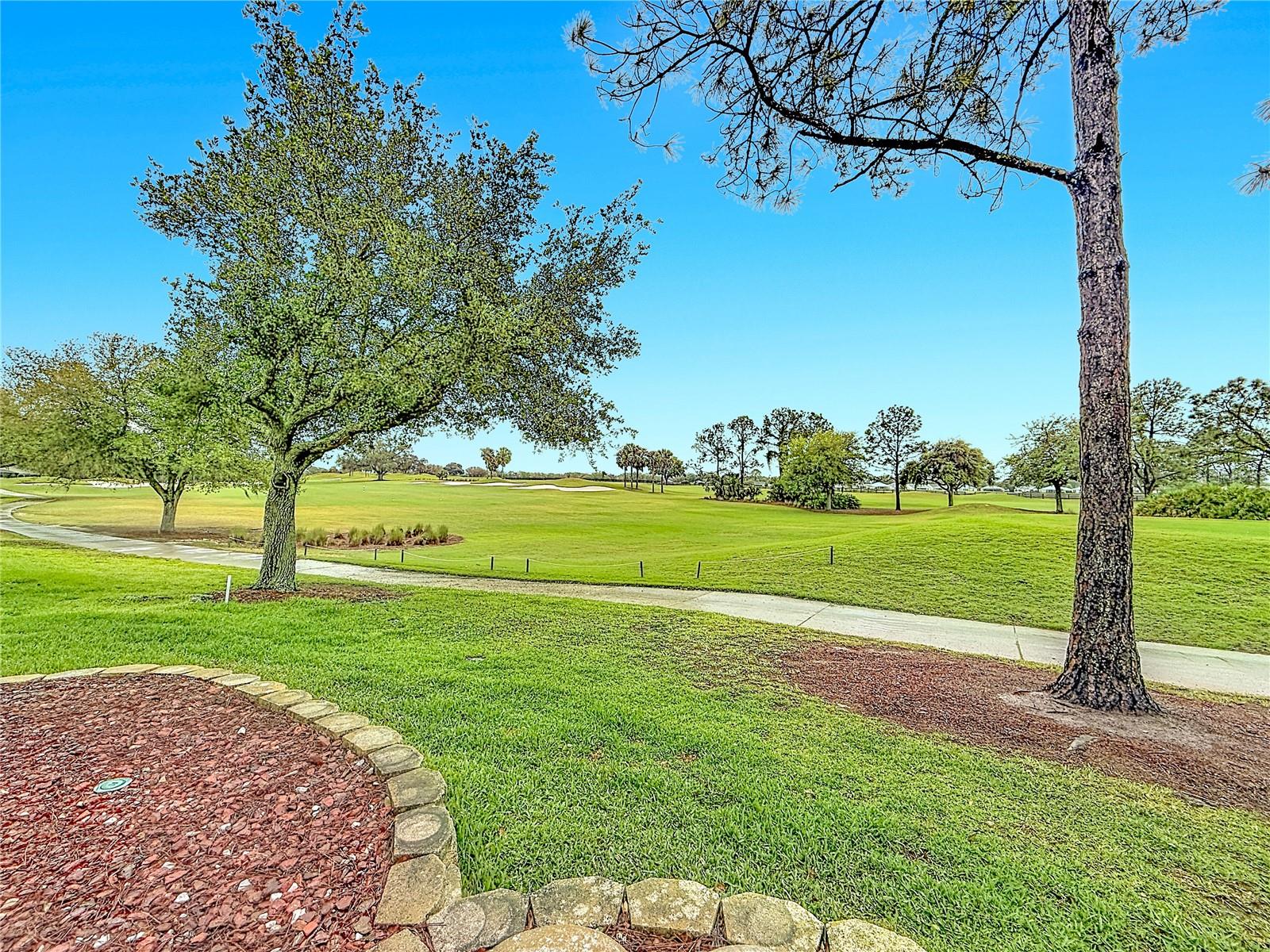 1738 AUGUSTINE DR, THE VILLAGES, FL, 32159