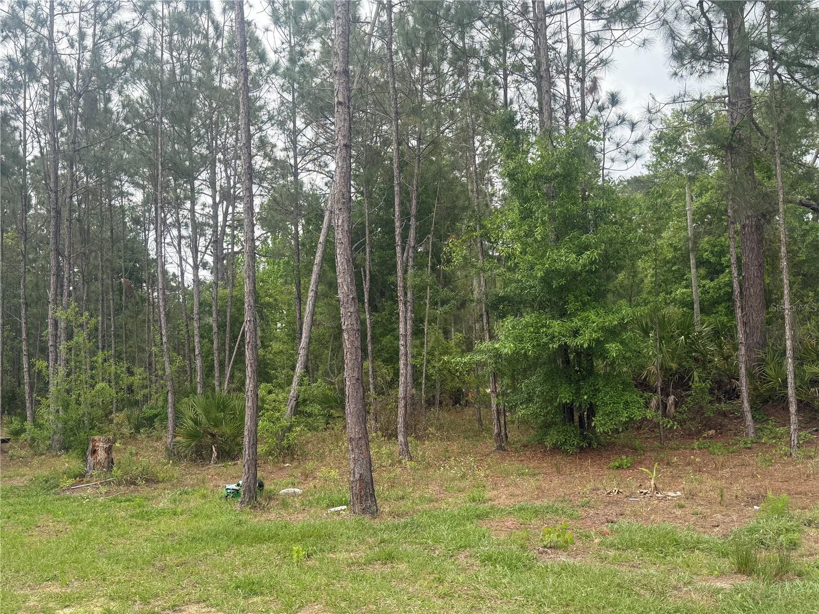 6505 OIL WELL RD, CLERMONT, FL, 34714