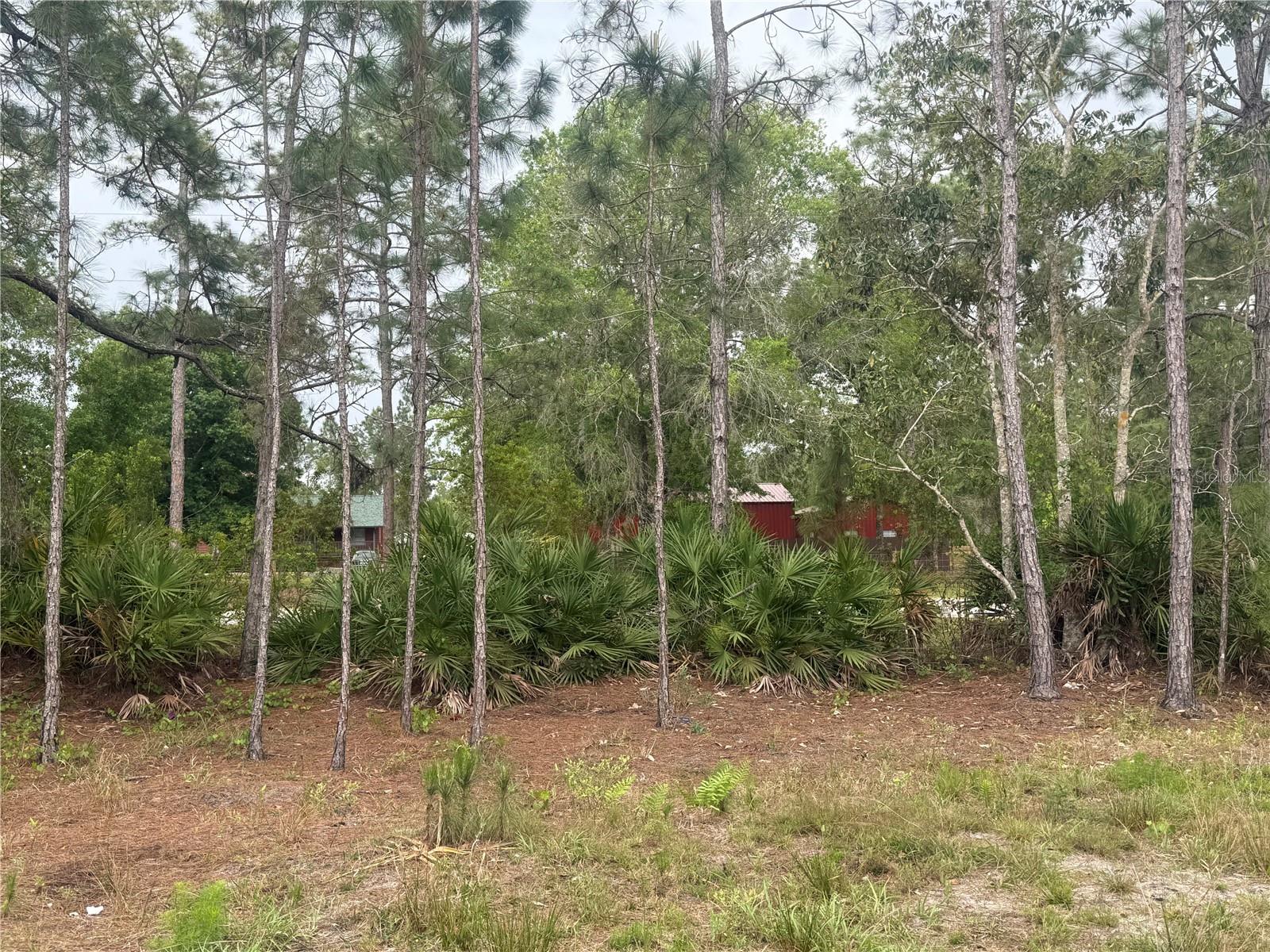 6505 OIL WELL RD, CLERMONT, FL, 34714