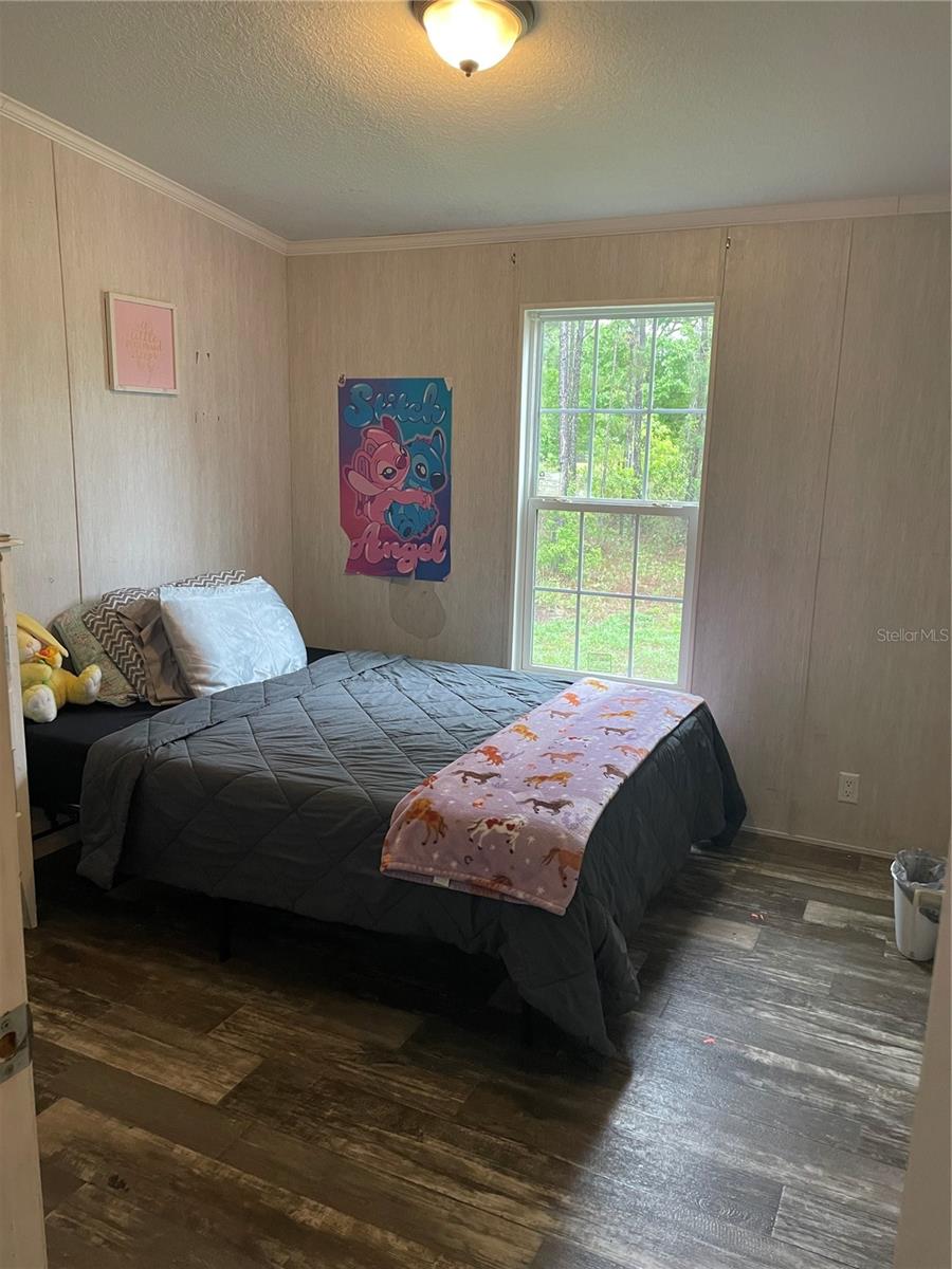 6505 OIL WELL RD, CLERMONT, FL, 34714
