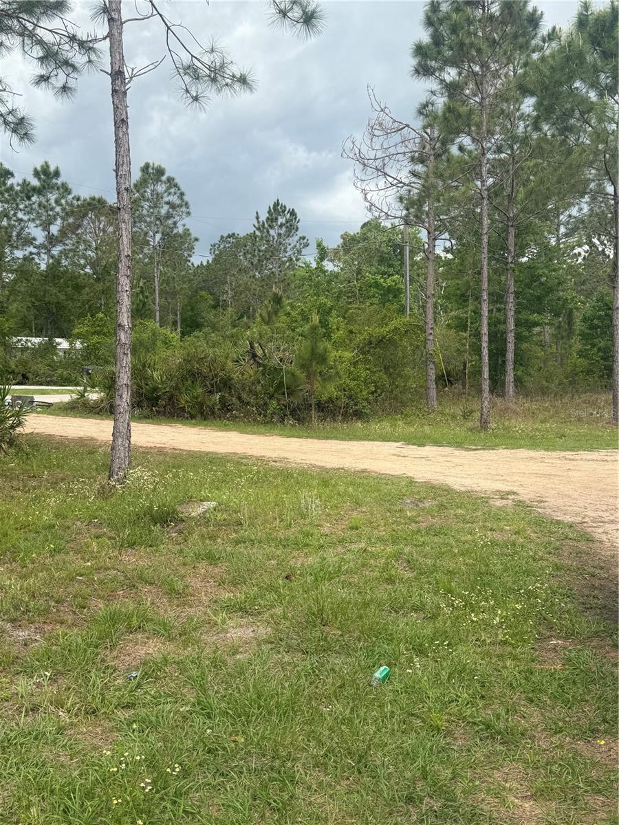 6505 OIL WELL RD, CLERMONT, FL, 34714