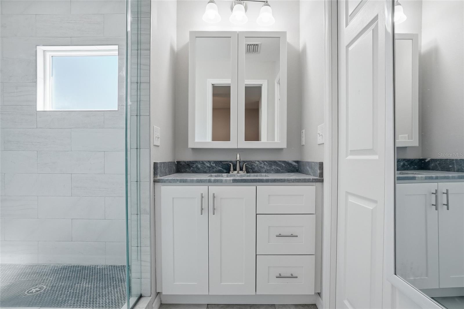 3909 W CARMEN ST, TAMPA, FL, 33609