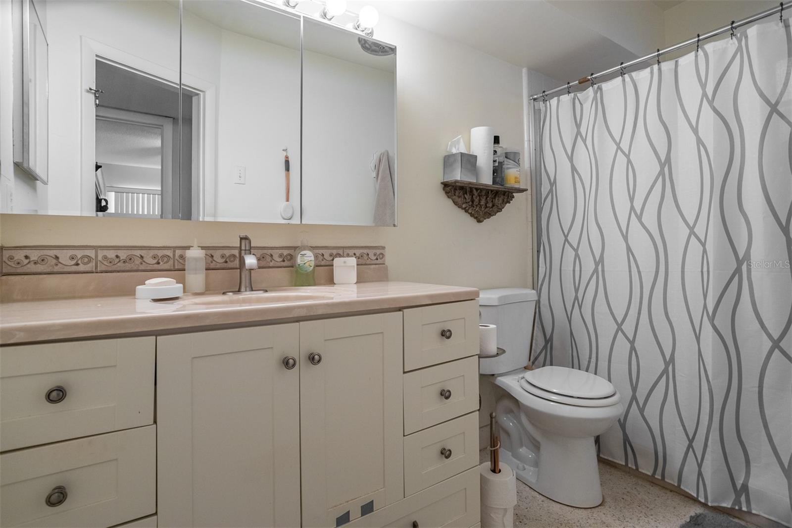 250 ROSERY RD NW #298, LARGO, FL, 33770