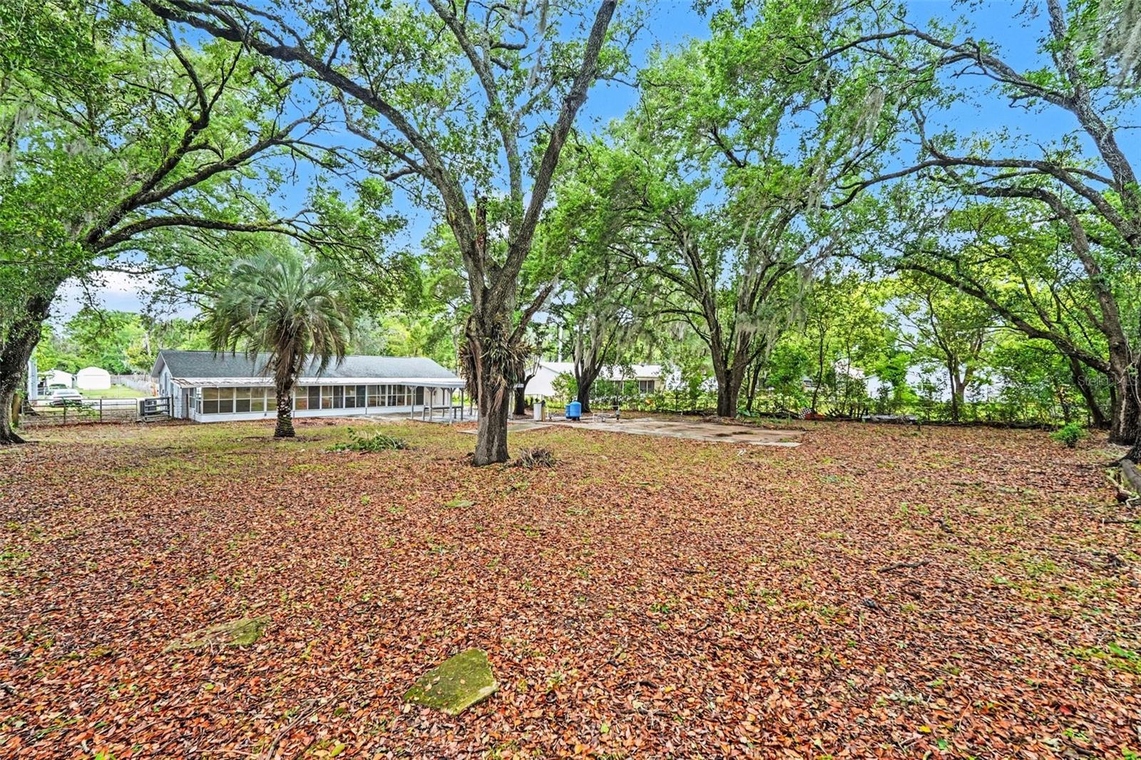 7310 FORT KING RD, ZEPHYRHILLS, FL, 33541