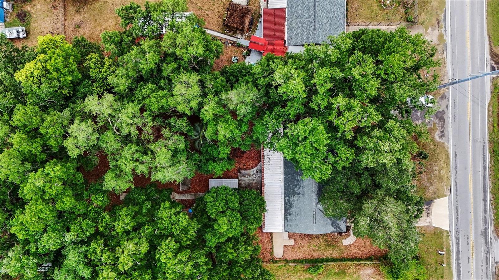 7310 FORT KING RD, ZEPHYRHILLS, FL, 33541