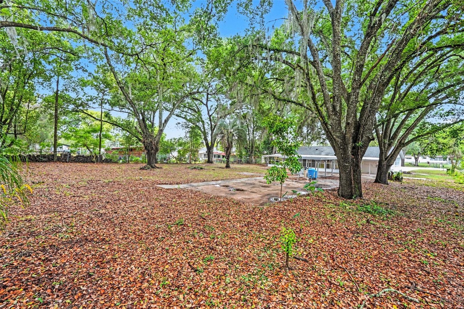 7310 FORT KING RD, ZEPHYRHILLS, FL, 33541