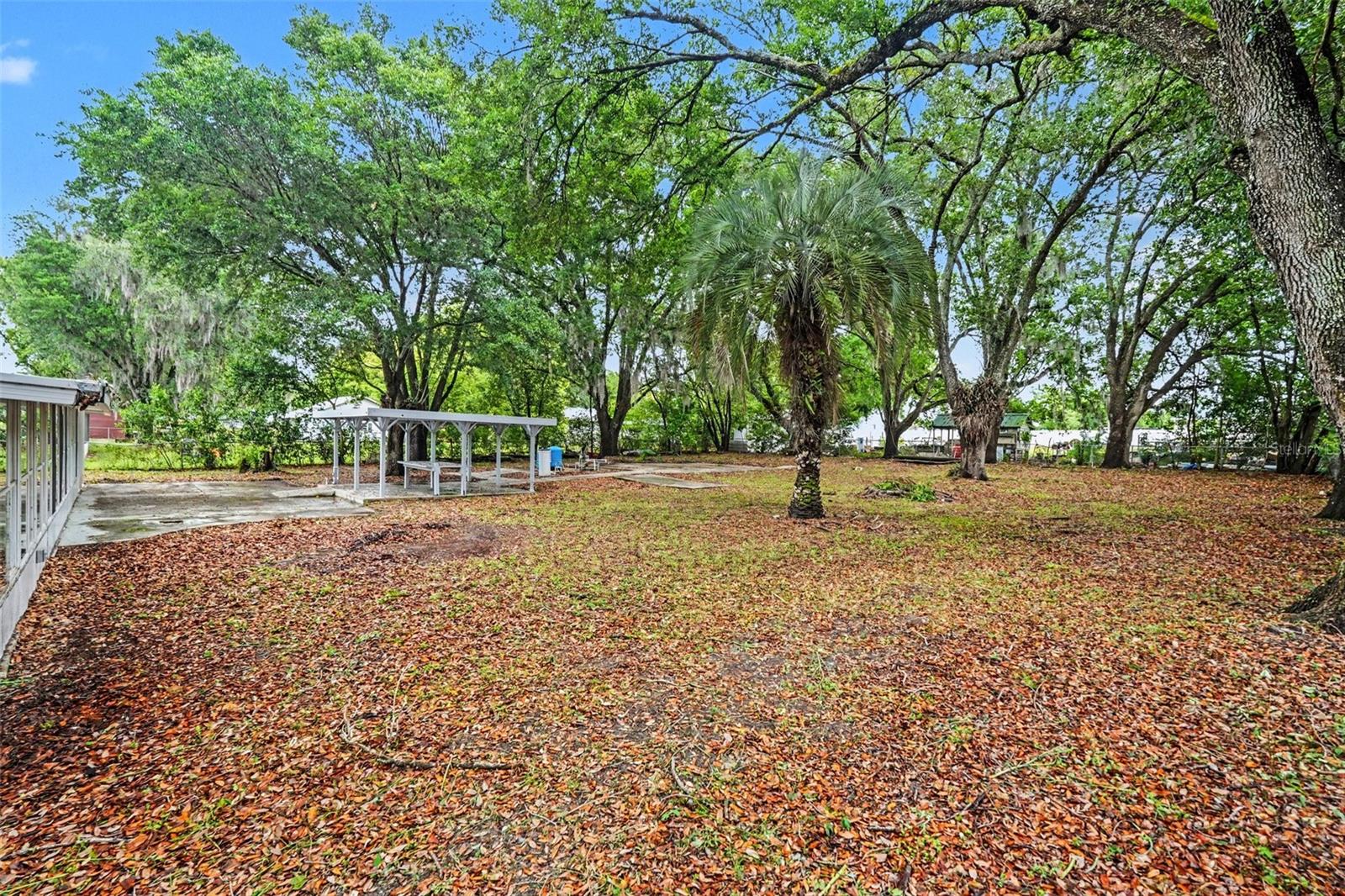 7310 FORT KING RD, ZEPHYRHILLS, FL, 33541