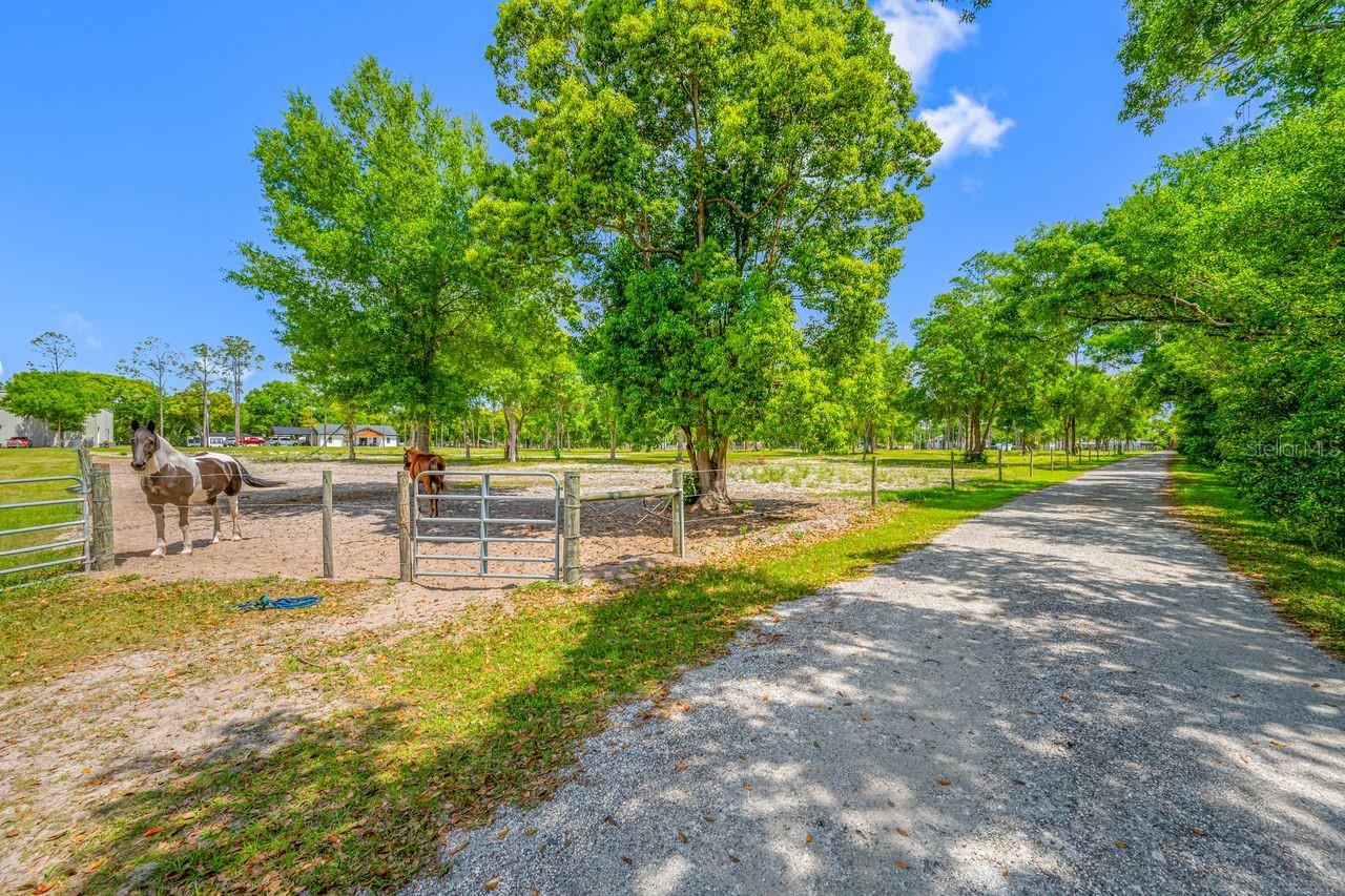 00 HANNA RD, LUTZ, FL, 33549