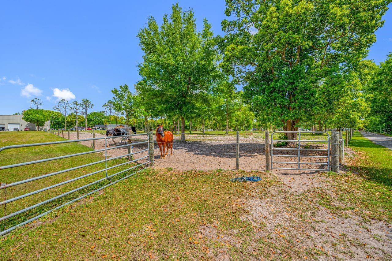 00 HANNA RD, LUTZ, FL, 33549