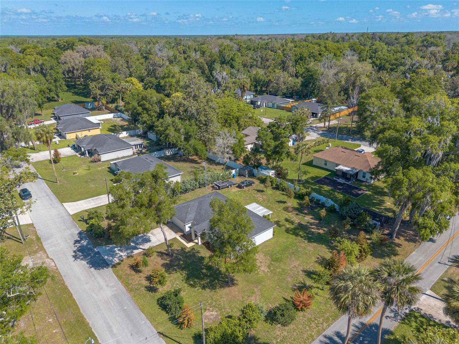 365 ALCAZAR AVE, DE LEON SPRINGS, FL, 32130