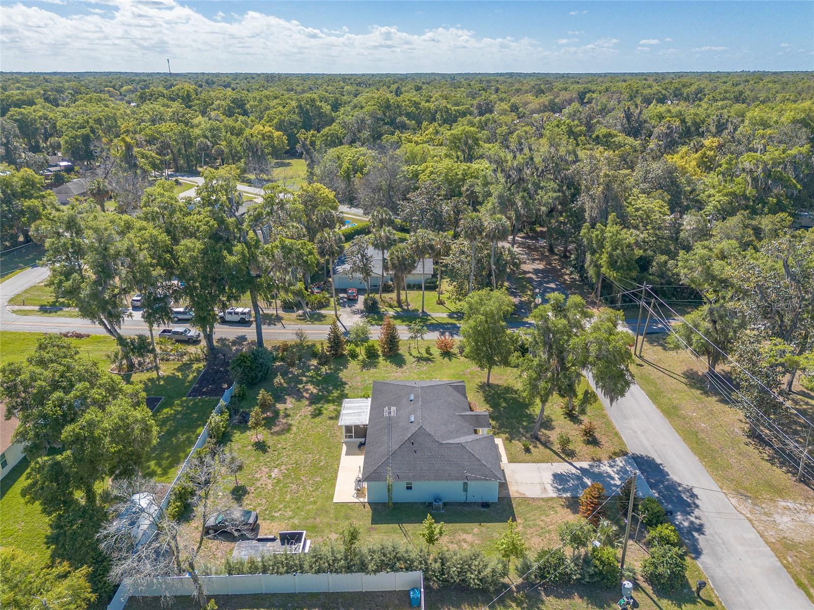 365 ALCAZAR AVE, DE LEON SPRINGS, FL, 32130
