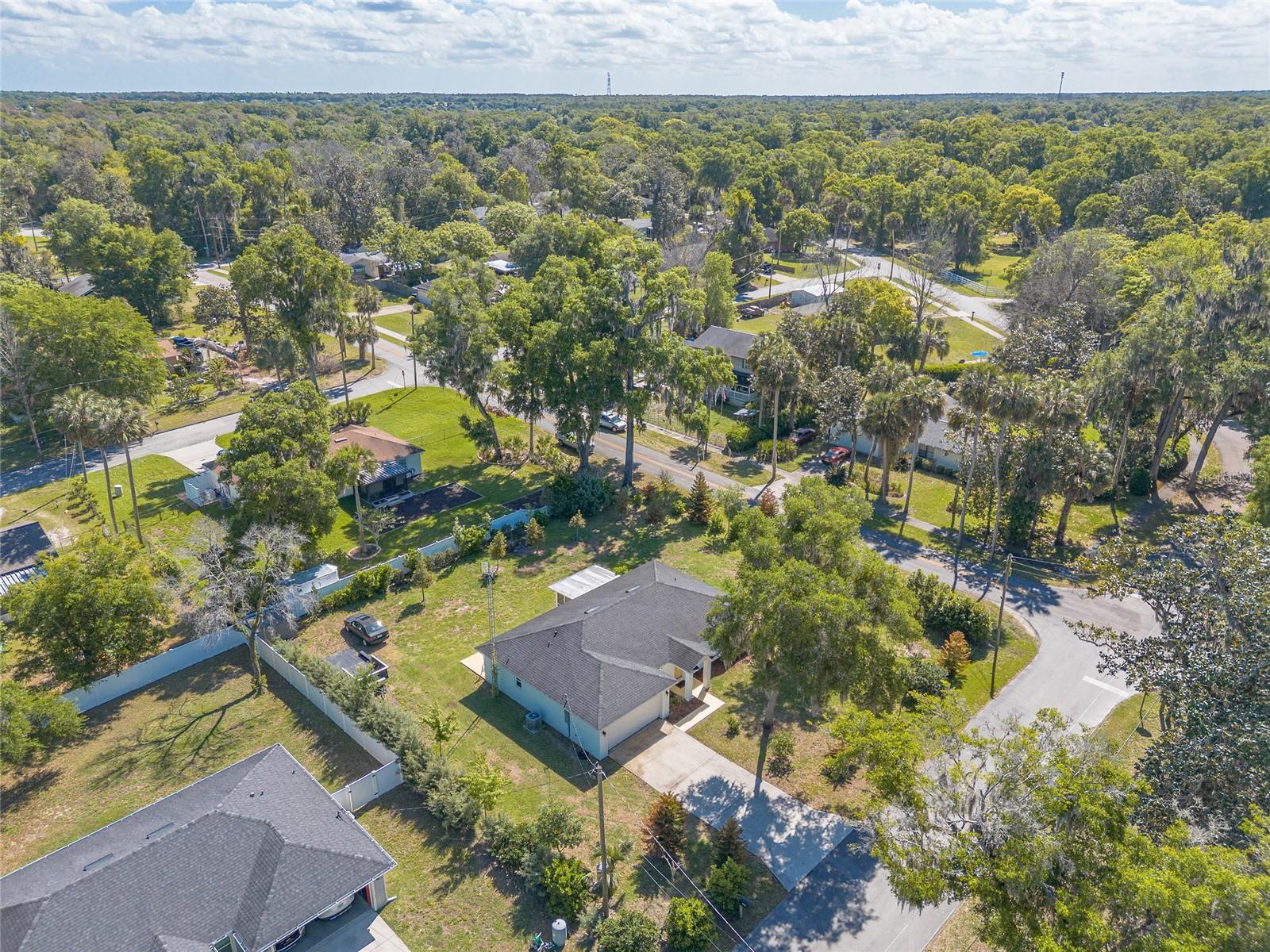 365 ALCAZAR AVE, DE LEON SPRINGS, FL, 32130