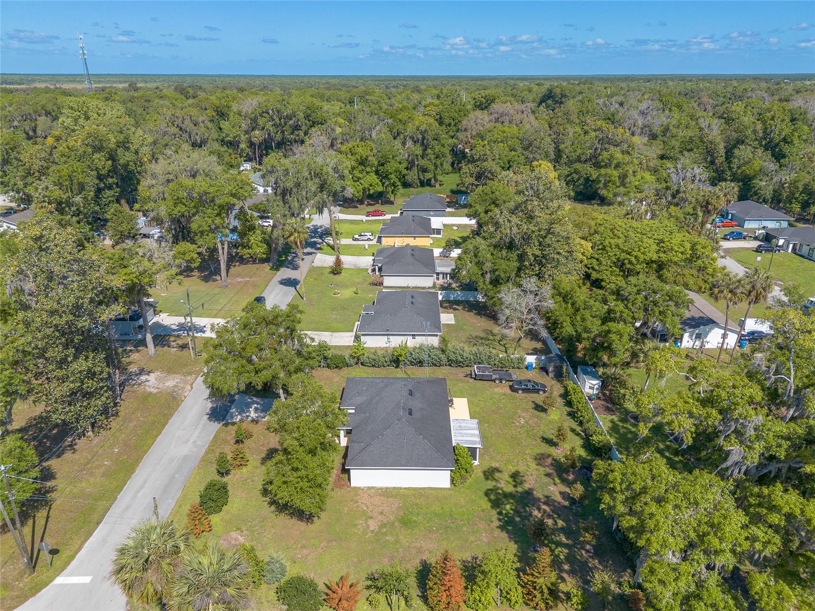 365 ALCAZAR AVE, DE LEON SPRINGS, FL, 32130