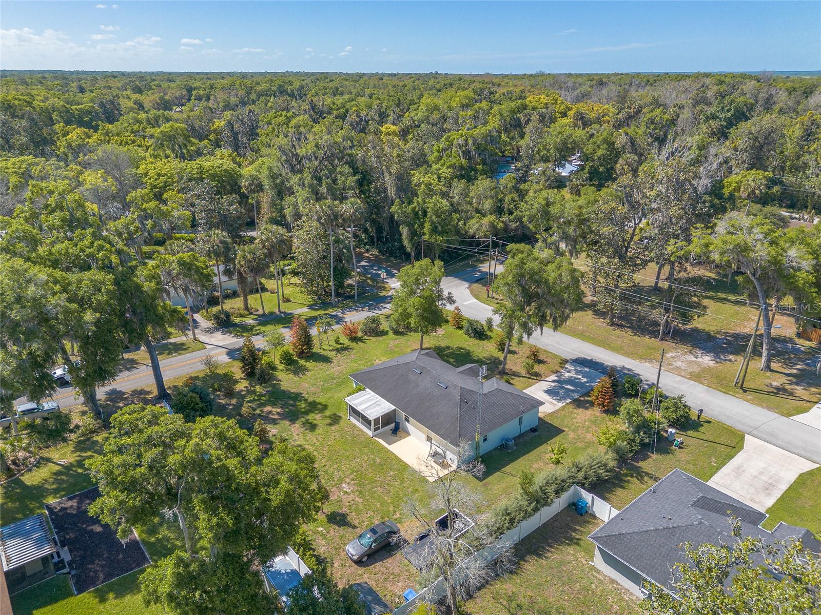 365 ALCAZAR AVE, DE LEON SPRINGS, FL, 32130