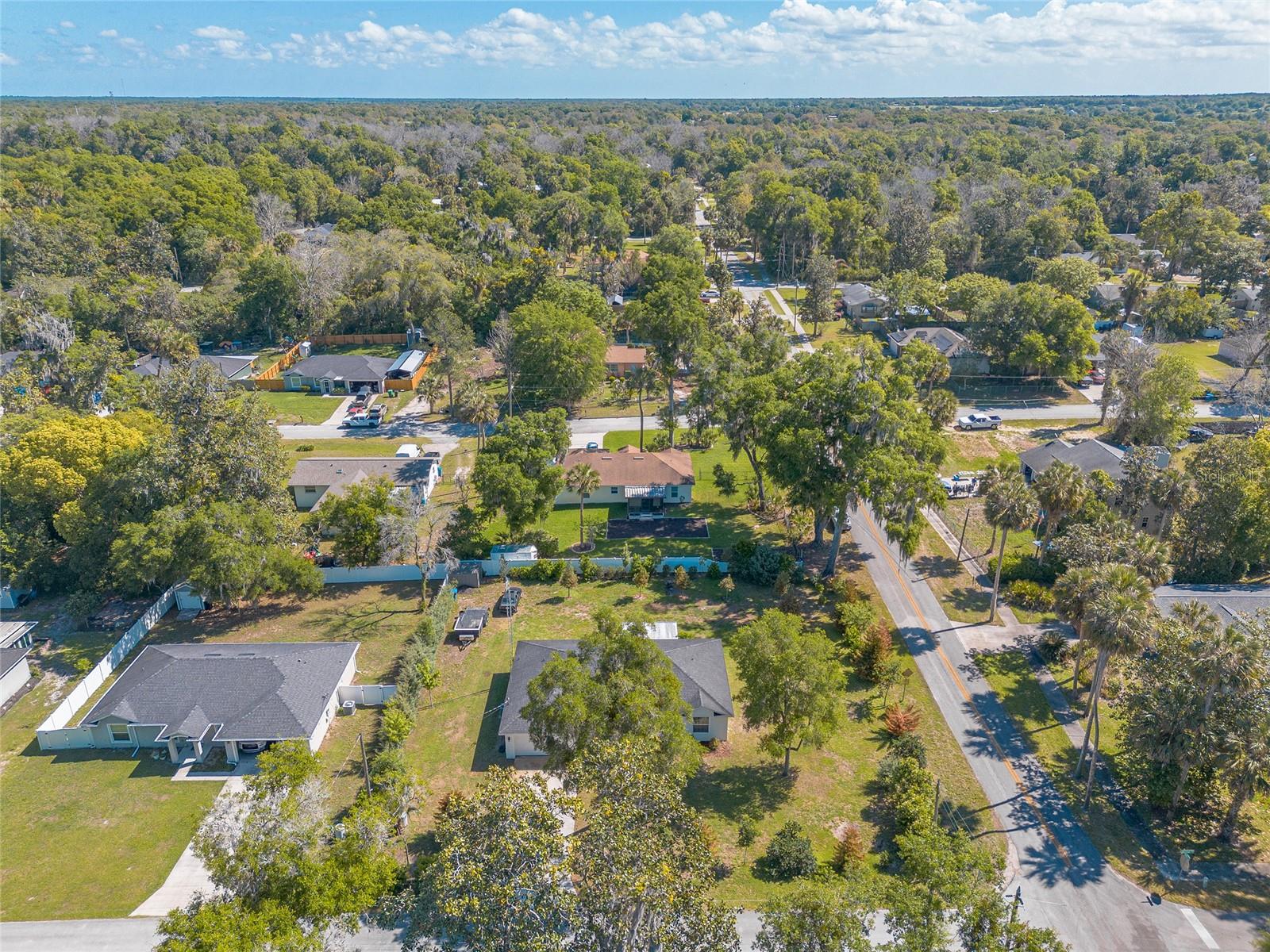 365 ALCAZAR AVE, DE LEON SPRINGS, FL, 32130