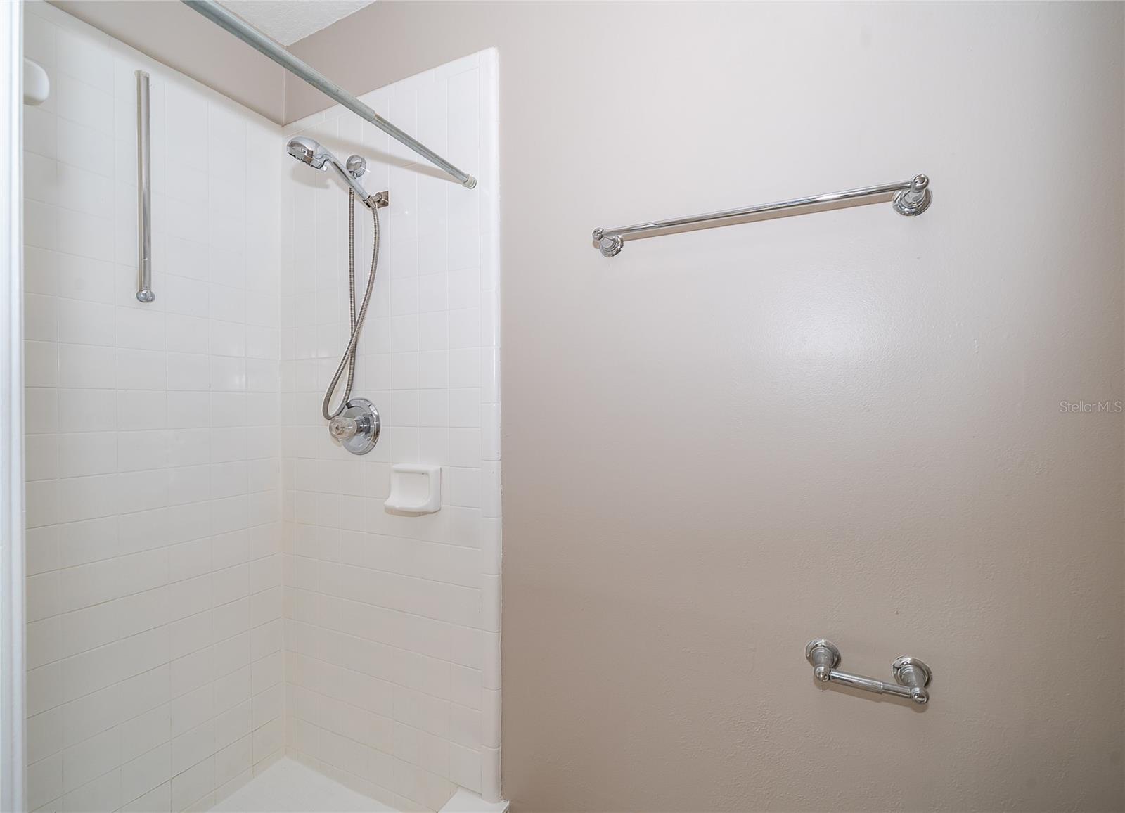 1036 LONG BRANCH LN, OVIEDO, FL, 32765