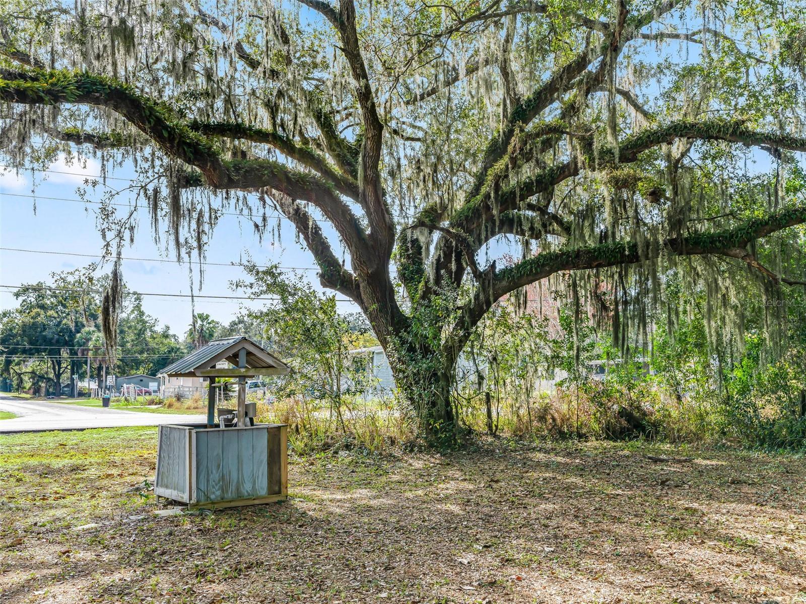 10487 SE HIGHWAY 42, SUMMERFIELD, FL, 34491